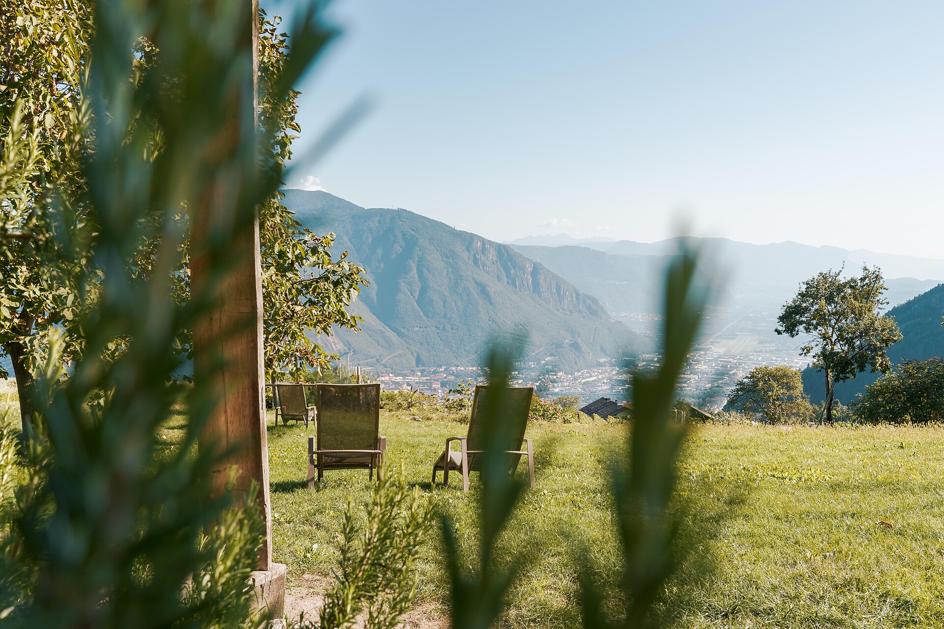 Haflinger Hof Jenesien 11 suedtirol.info