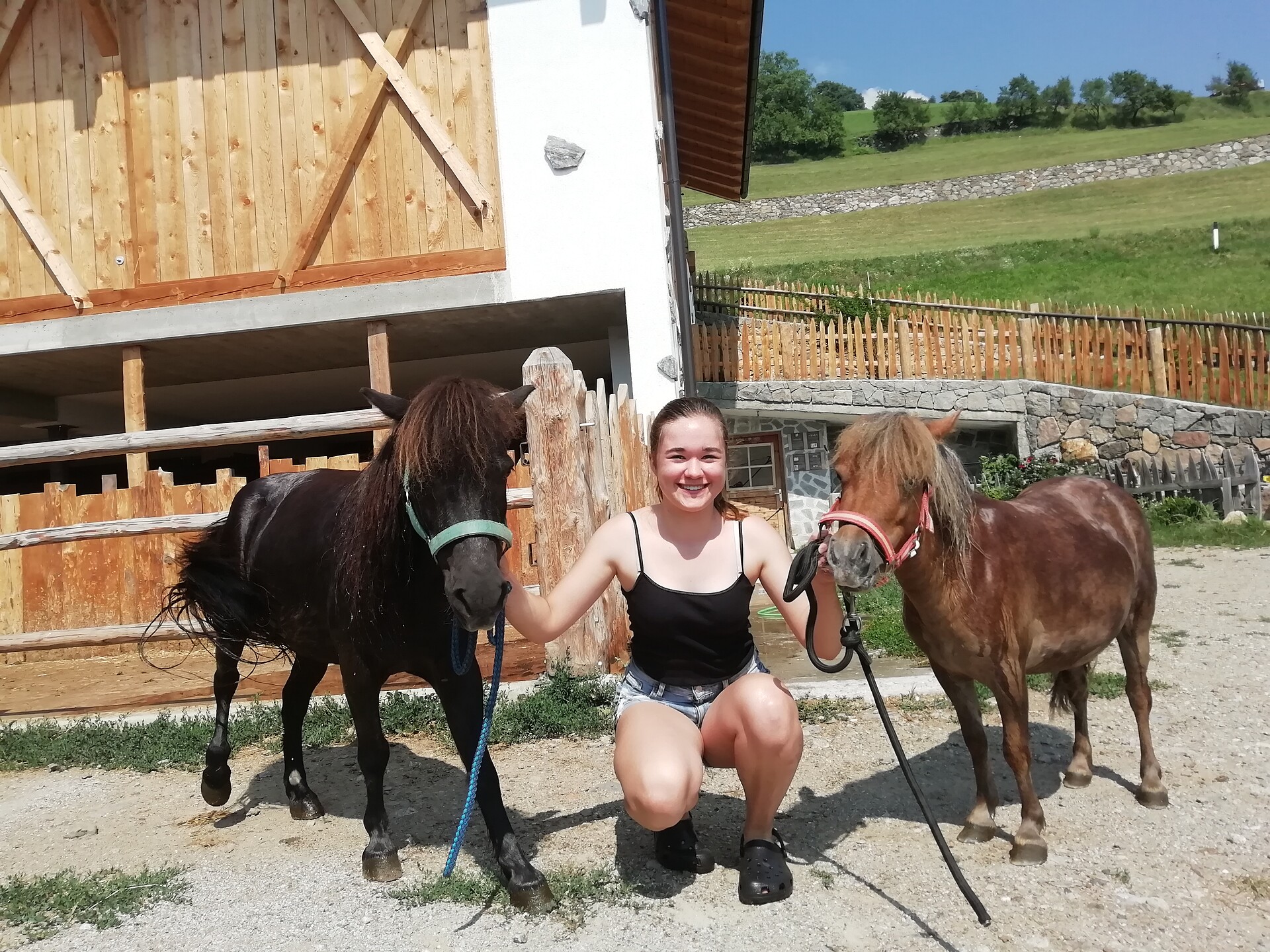 i nostri pony