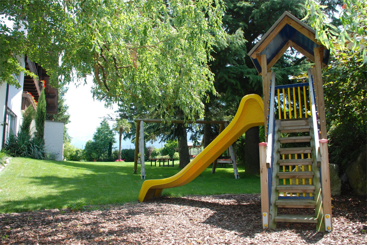Slide 6