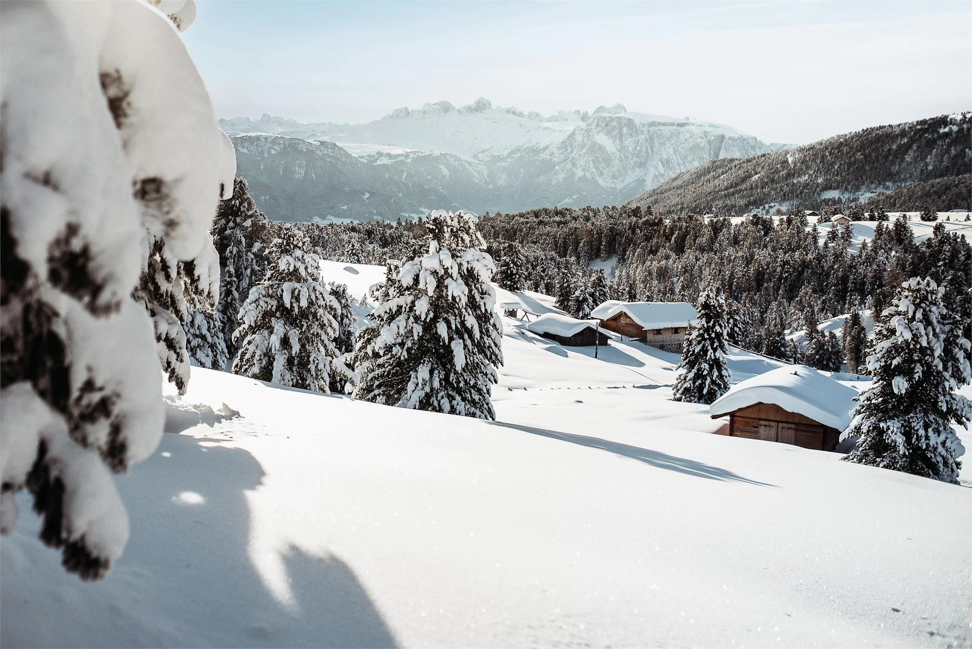 Hotel Der Rierhof Klausen/Chiusa 16 suedtirol.info