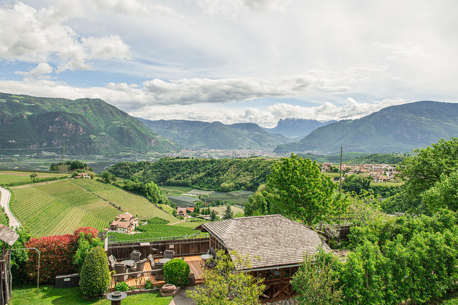 view