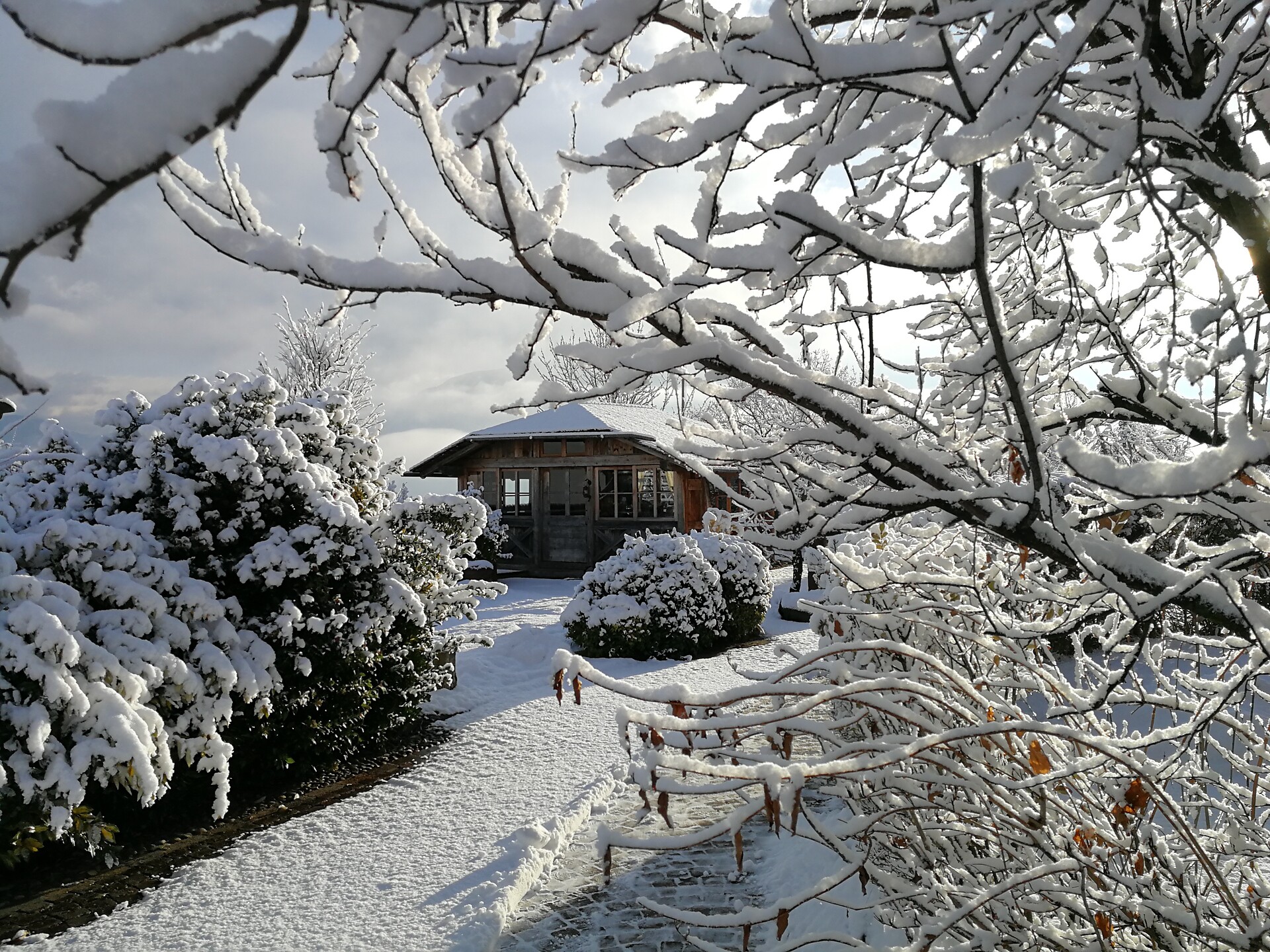 Winter