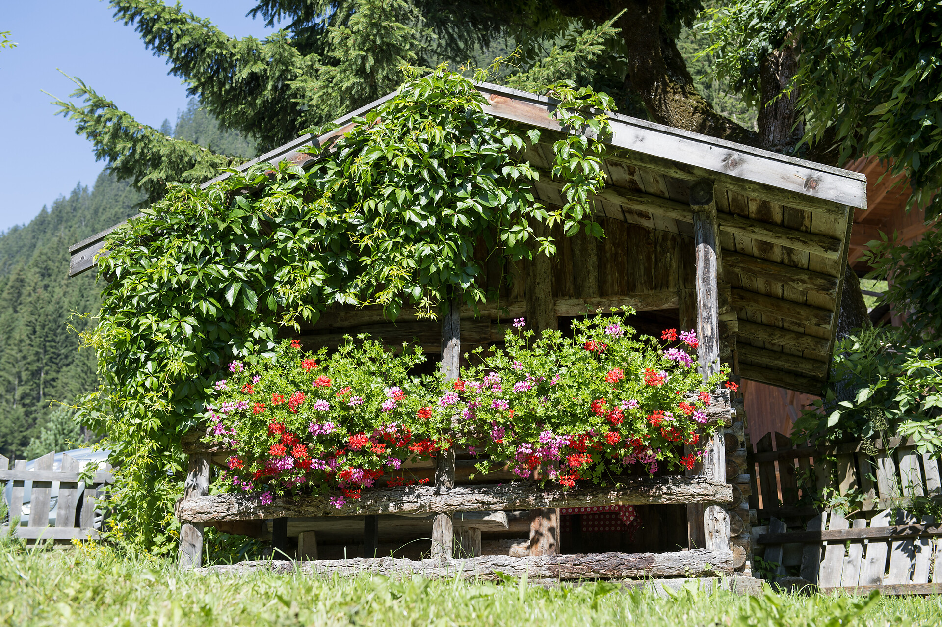 Hotel Bergblick Ratschings 23 suedtirol.info