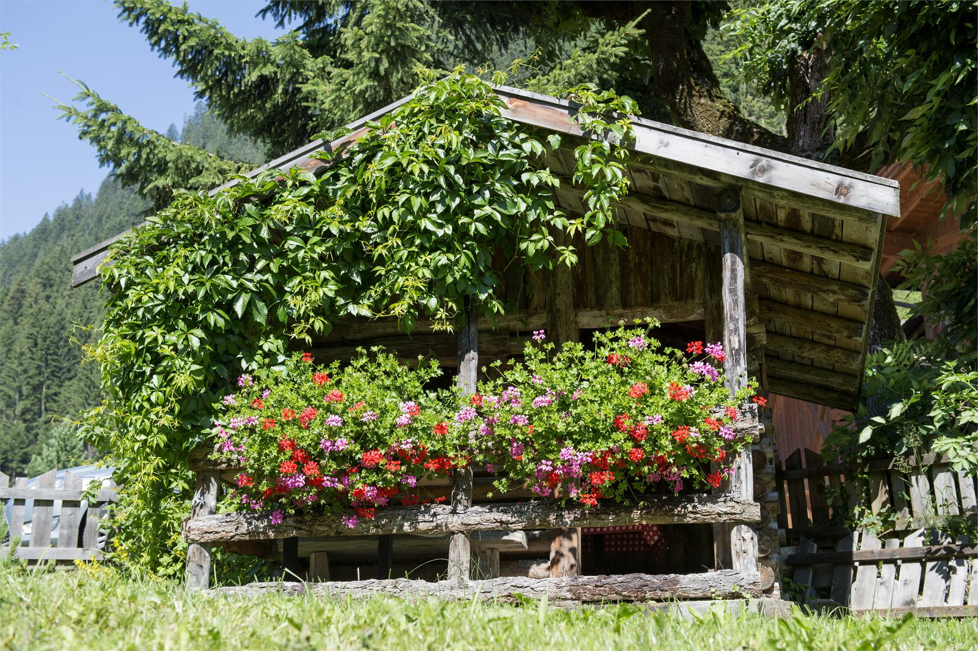 Hotel Bergblick Ratschings 23 suedtirol.info