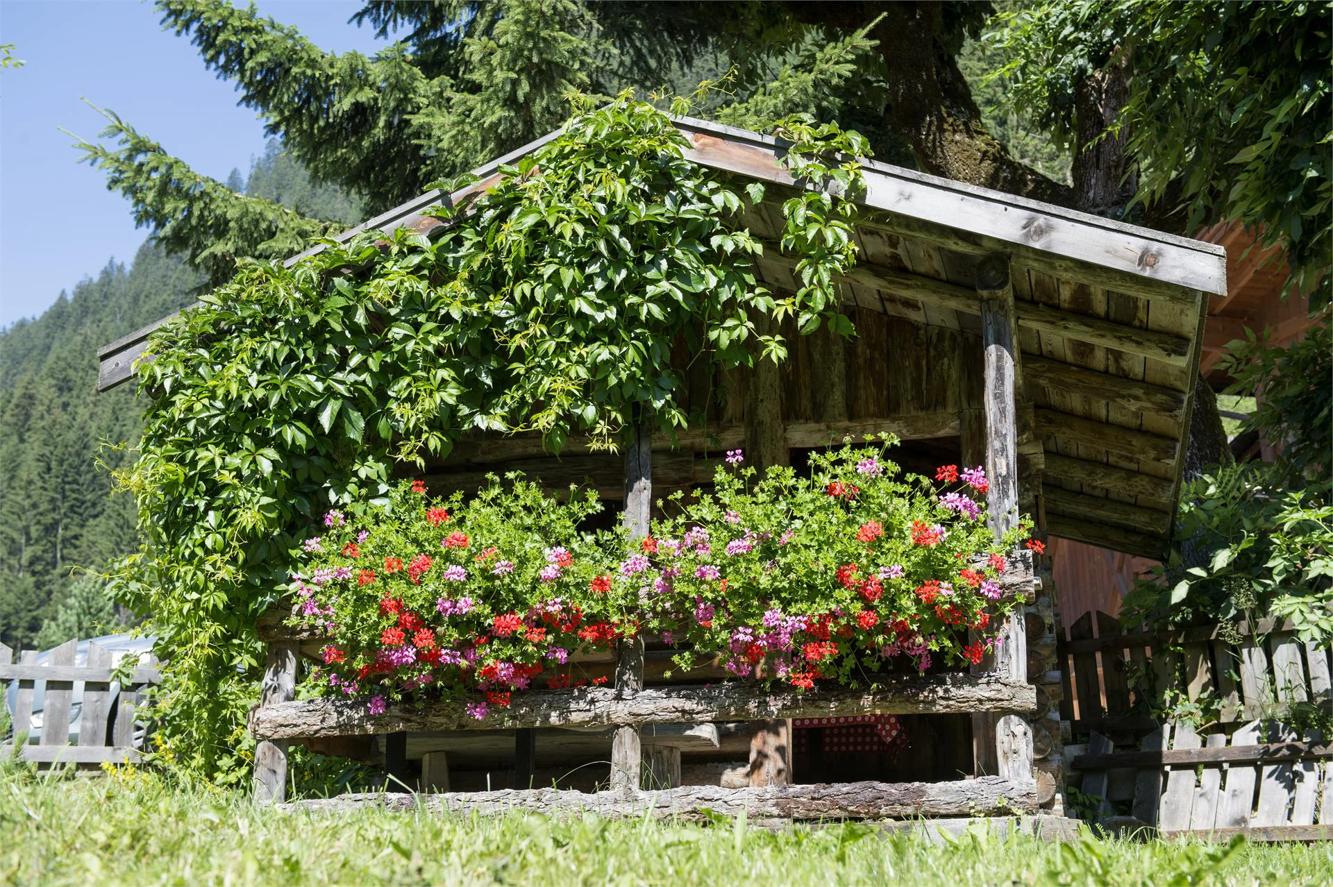 Hotel Bergblick Ratschings/Racines 23 suedtirol.info