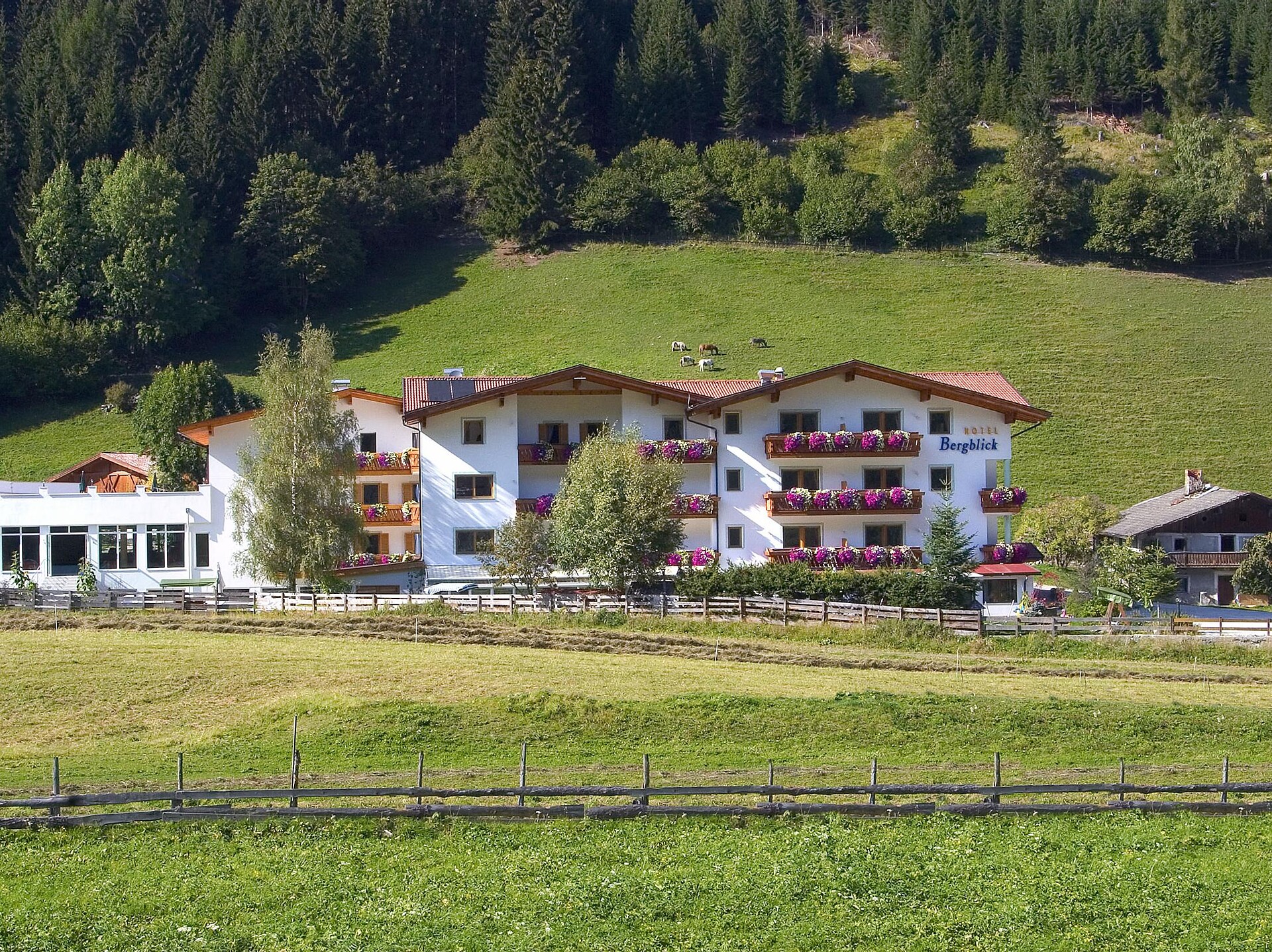 Hotel Bergblick Ratschings 1 suedtirol.info