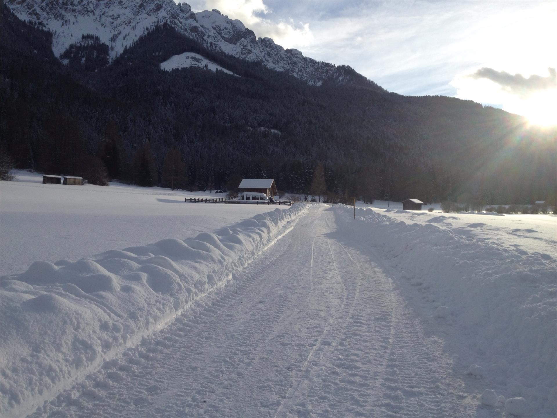 Hotel Chalet Olympia Welsberg-Taisten 11 suedtirol.info