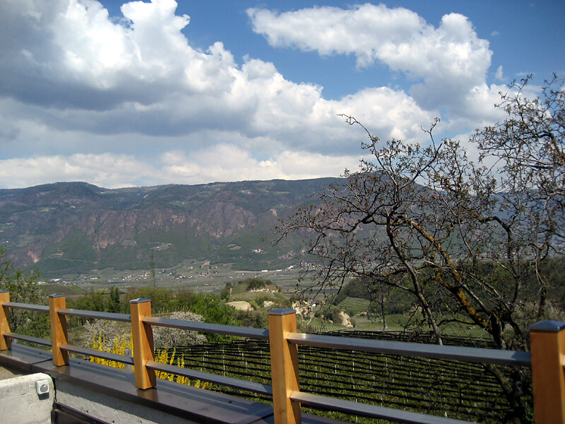 Panorama