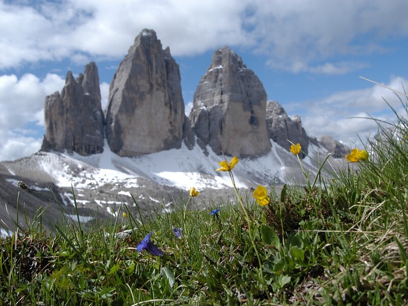 Hotel Scherer Olang/Valdaora 28 suedtirol.info