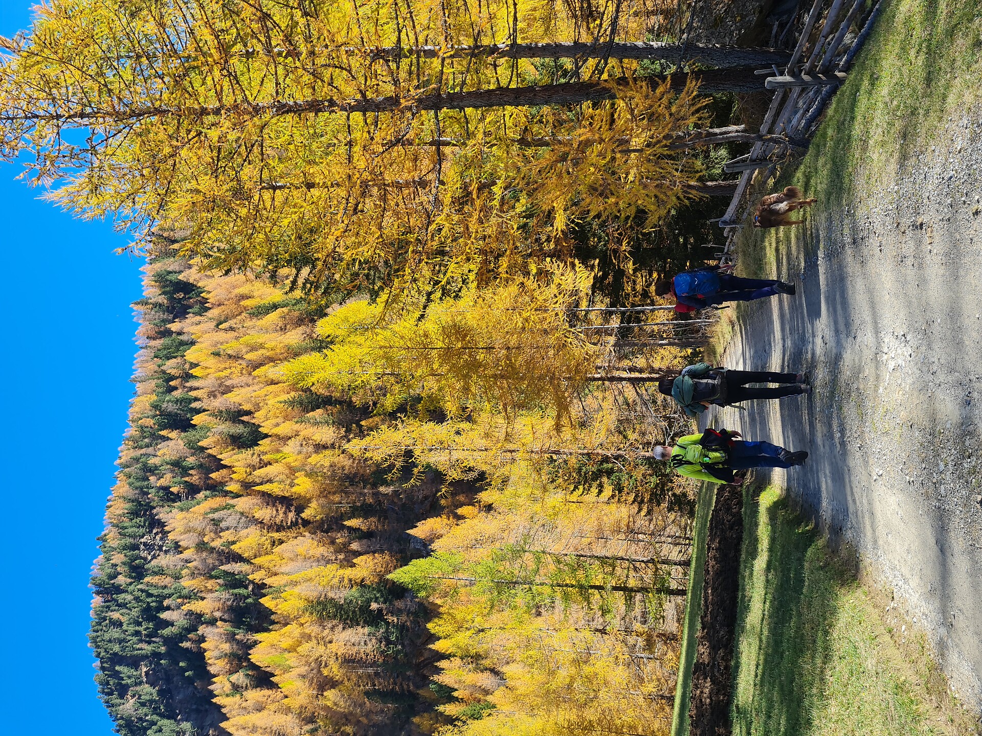 Herbstwanderung