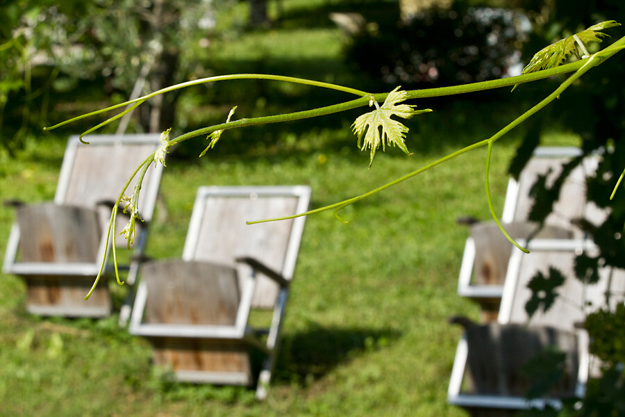 Giardino