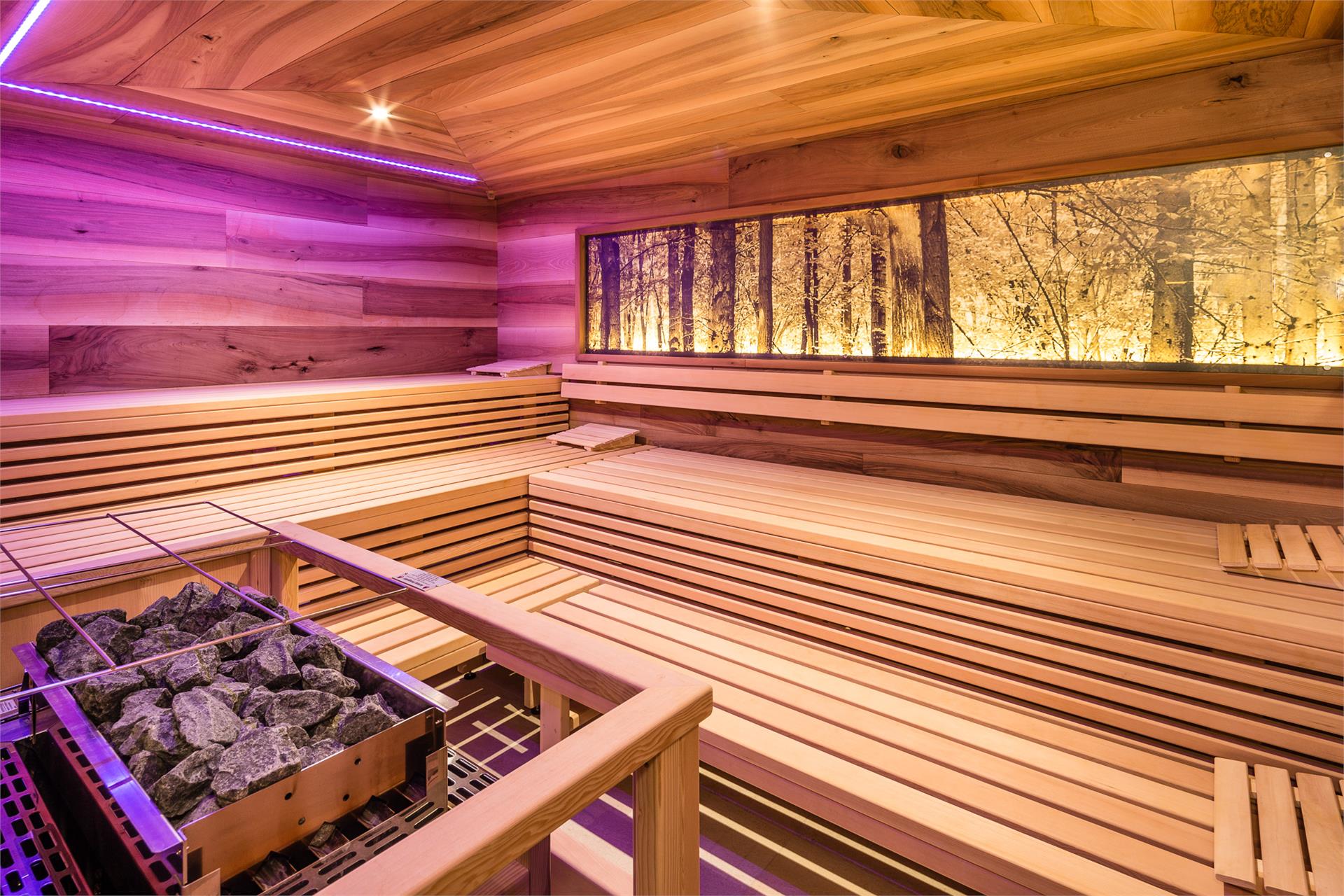 Hotel Am Sonneck Algund 12 suedtirol.info