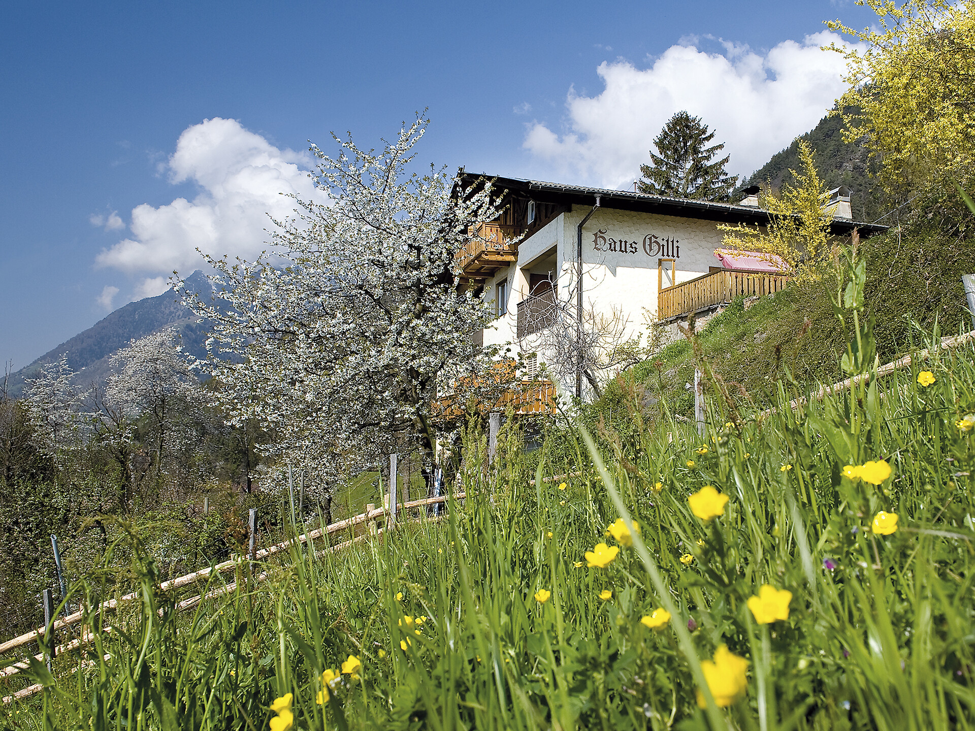 Haus Gilli