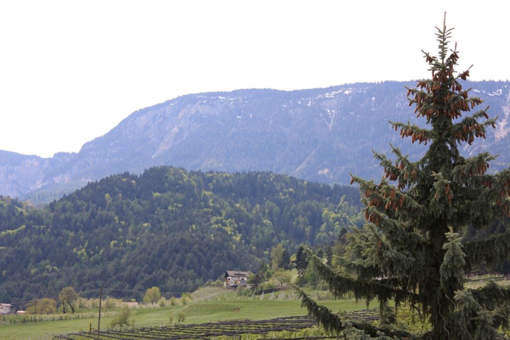 Hotel Hillebrand Tesimo 12 suedtirol.info