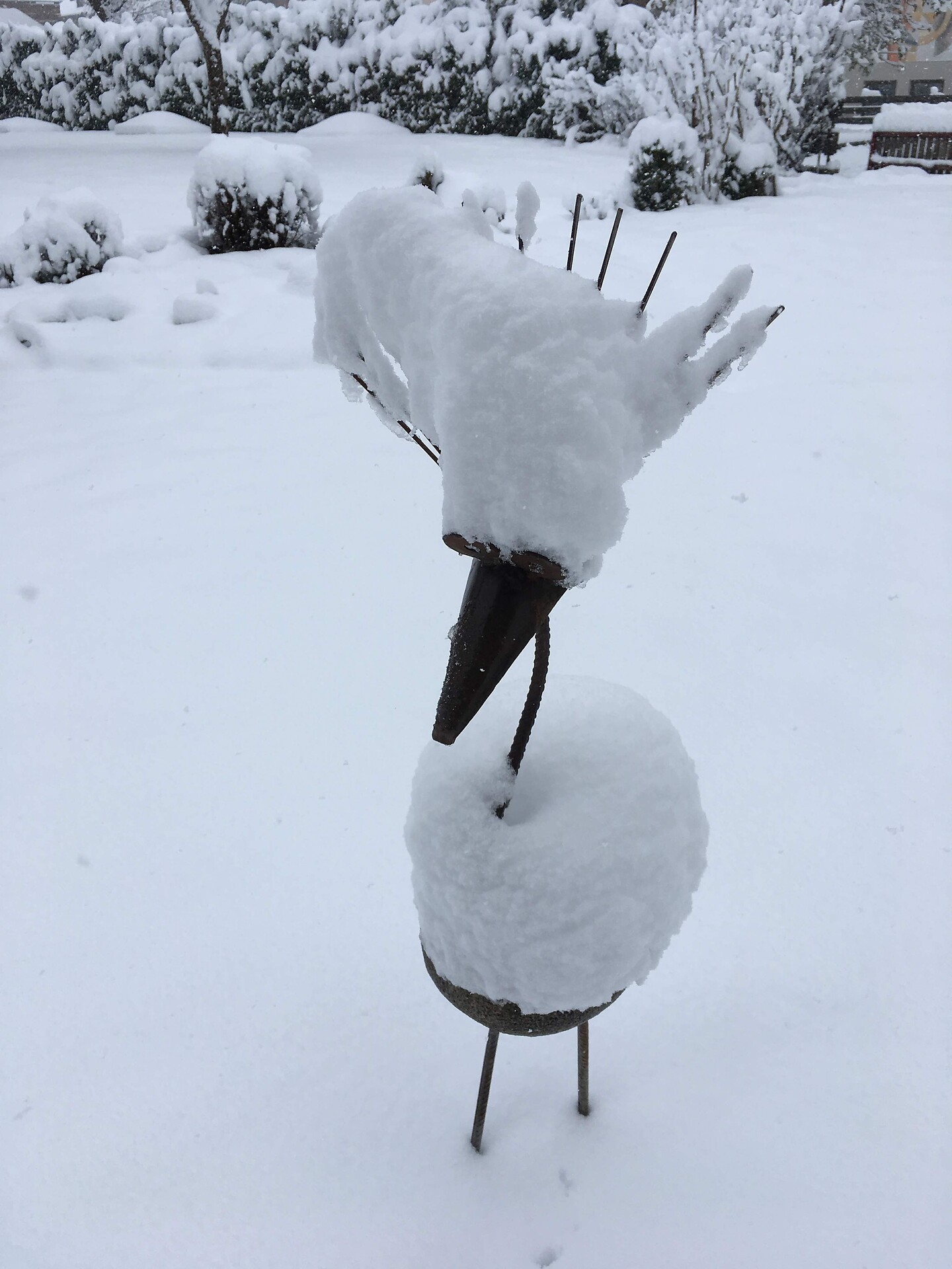 our garden in winter