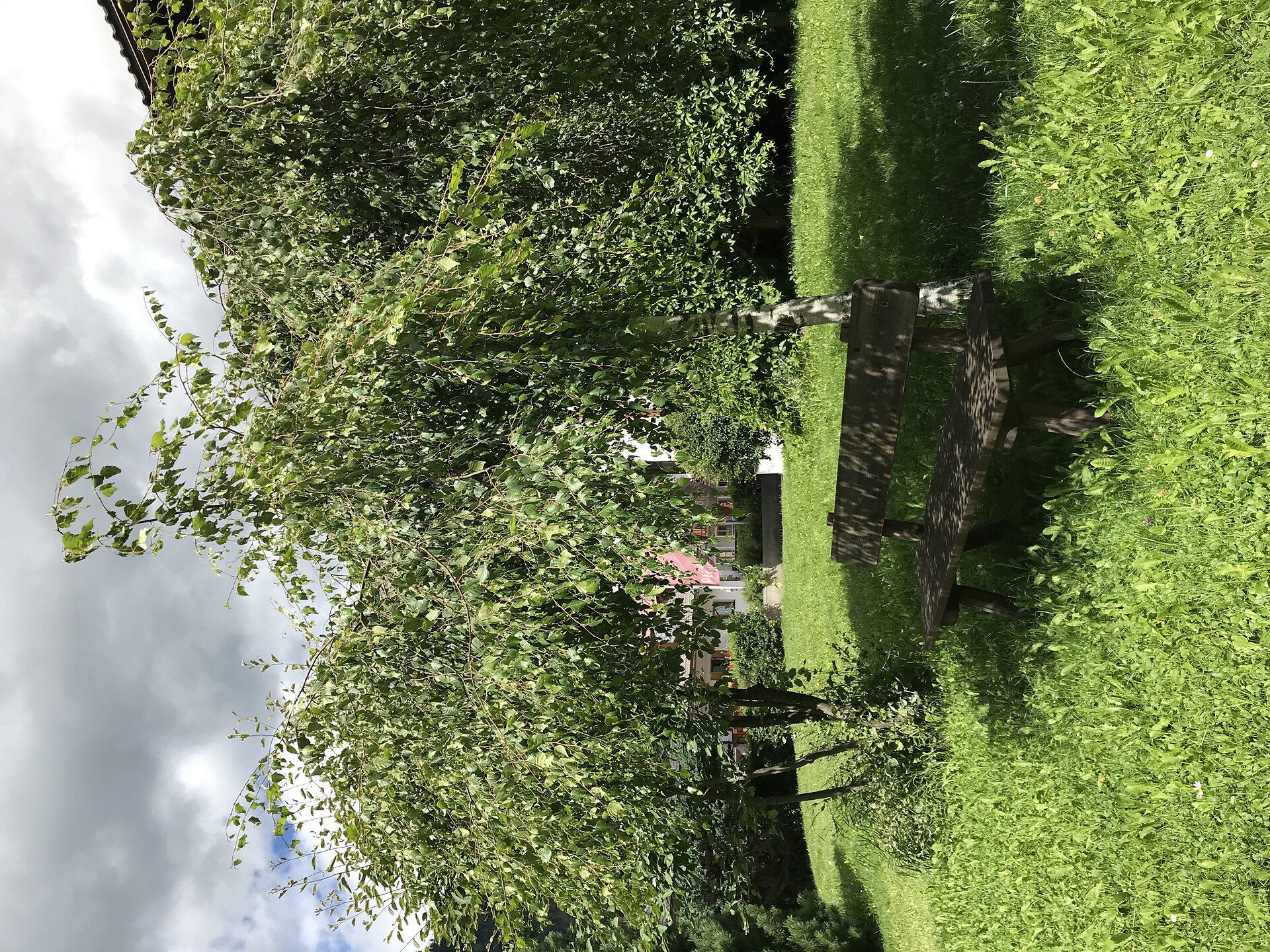 garden