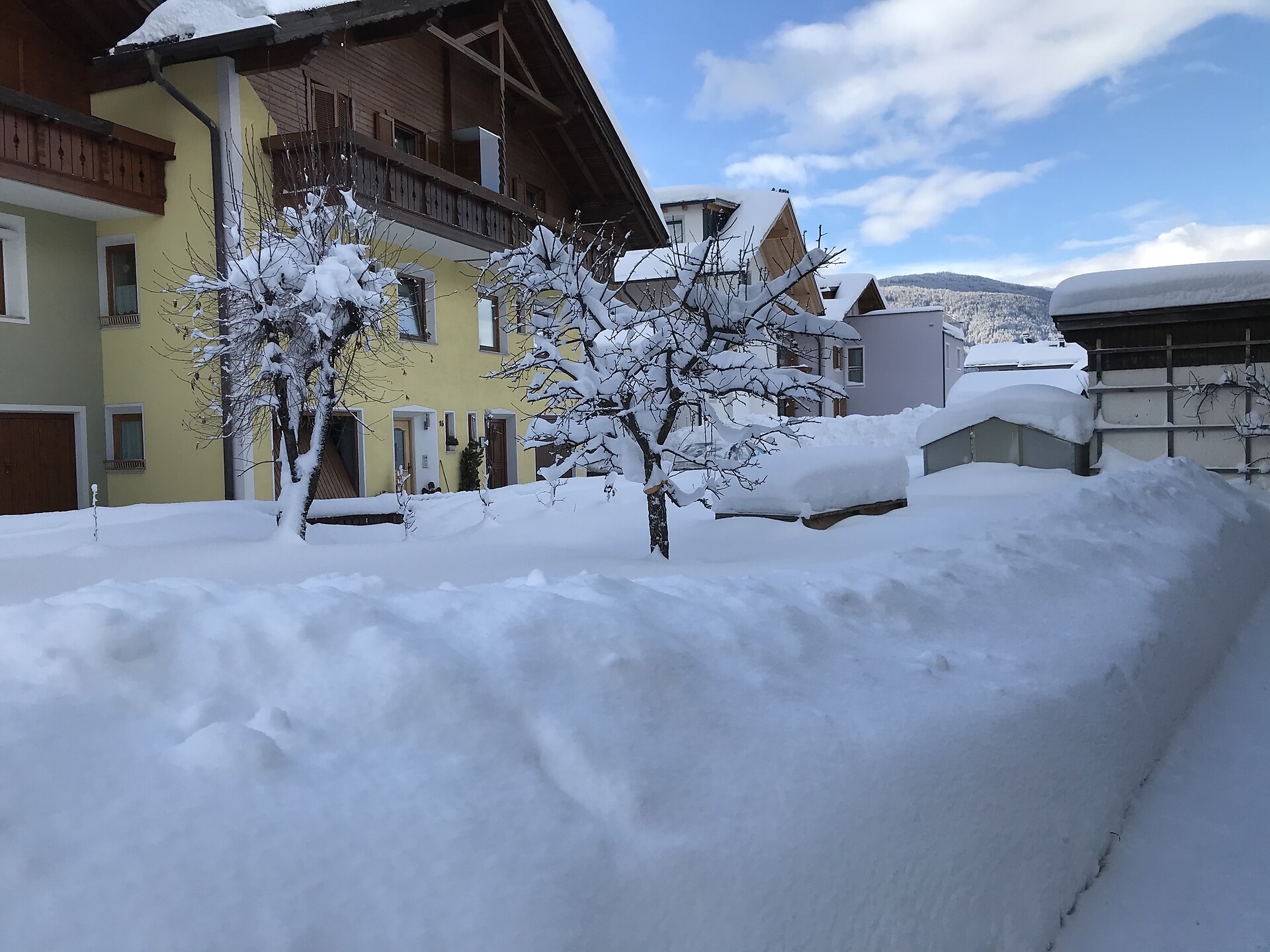 winter