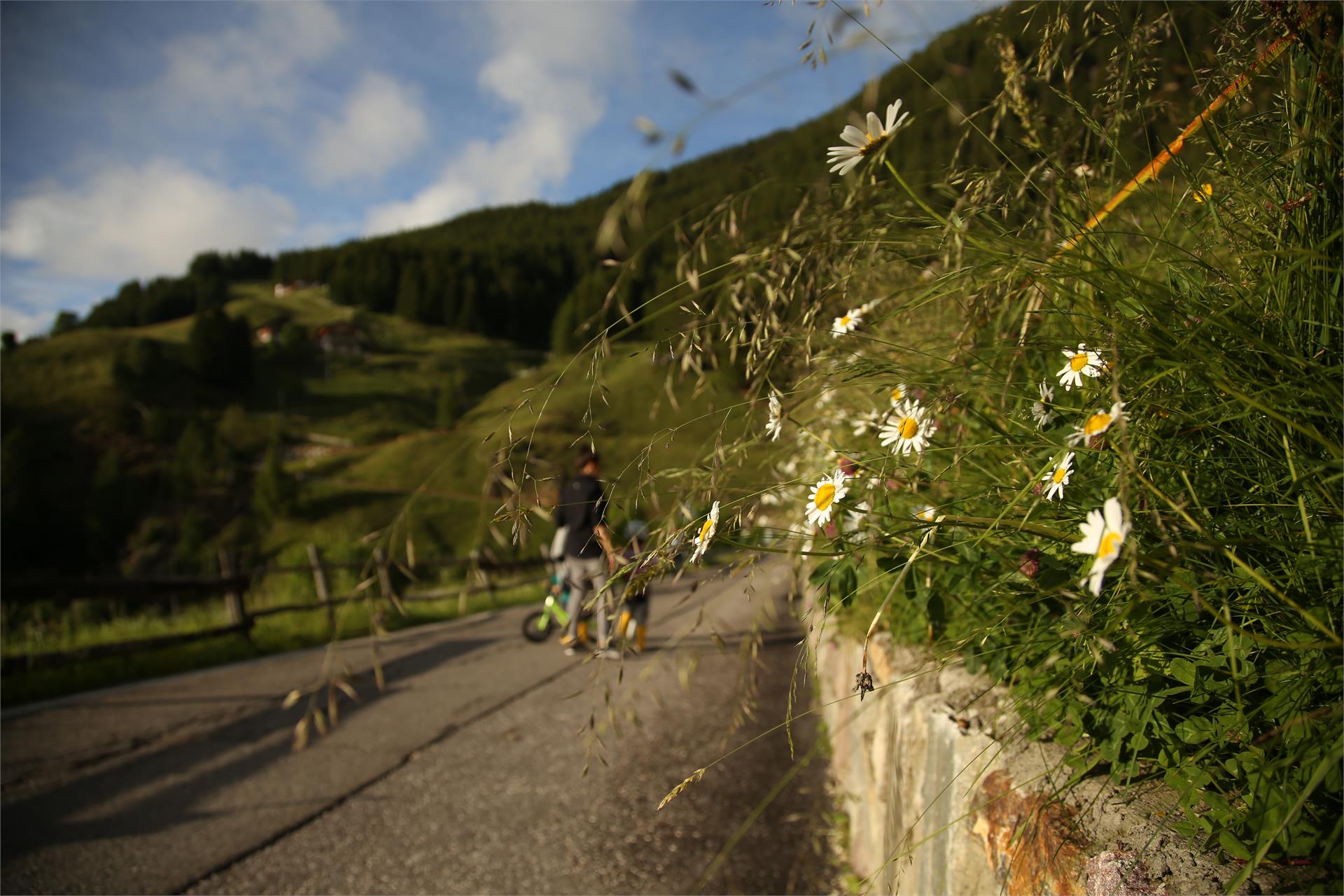Hofschank Wiesbauer Schenna/Scena 17 suedtirol.info