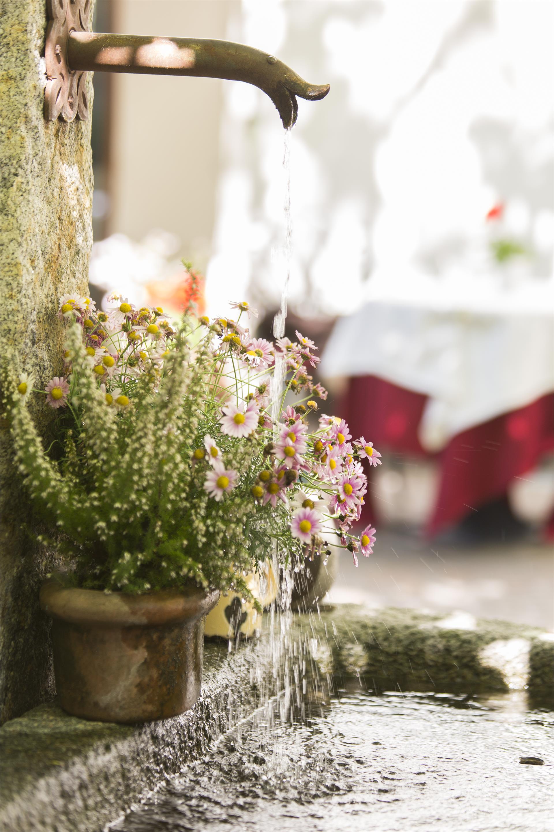 Hotel Ansitz Plantiz Merano 11 suedtirol.info