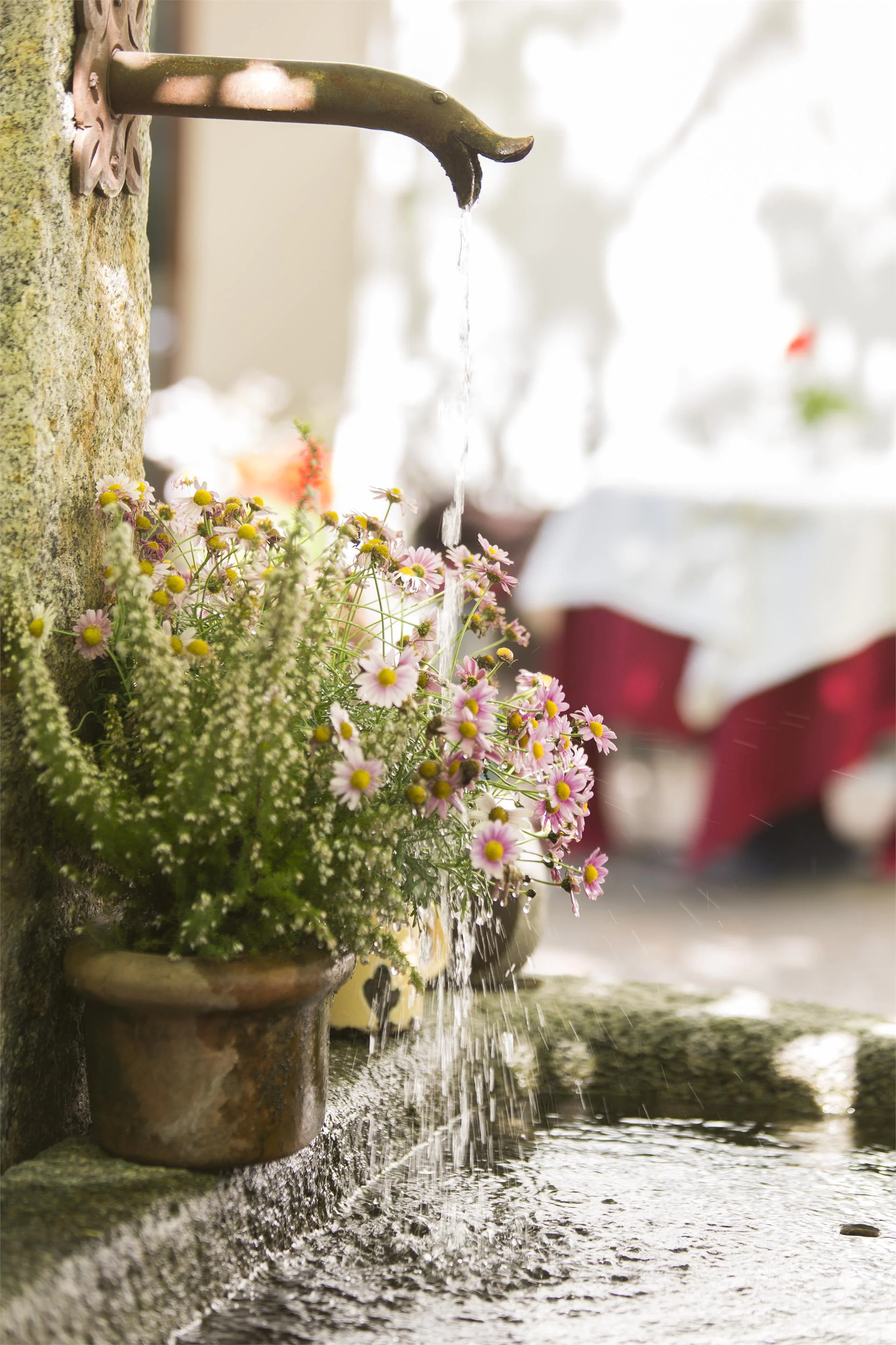 Hotel Ansitz Plantitscherhof Meran/Merano 17 suedtirol.info