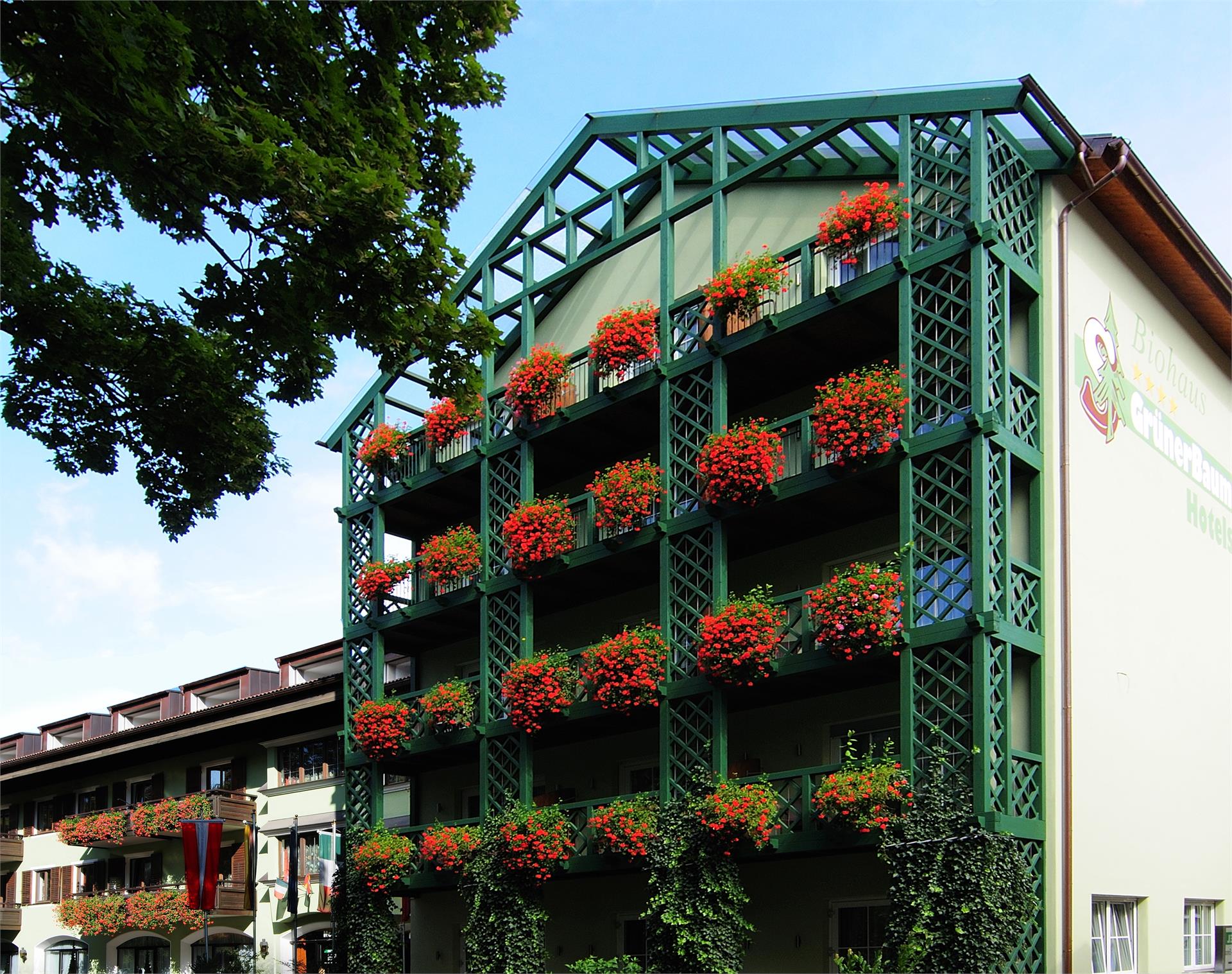 Hotel Grüner Baum Brixen/Bressanone 11 suedtirol.info