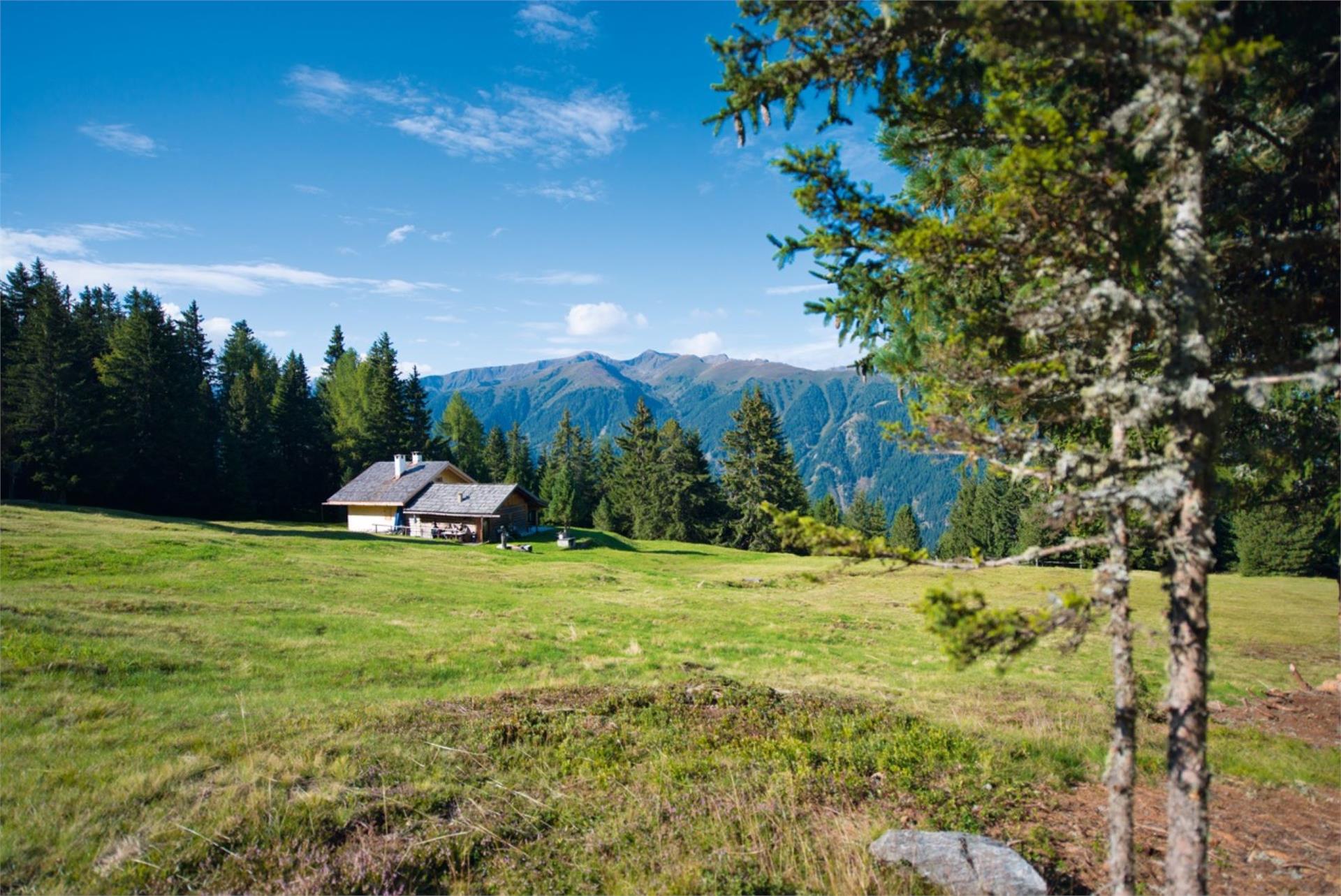 Hotel Torgglerhof Bressanone 28 suedtirol.info