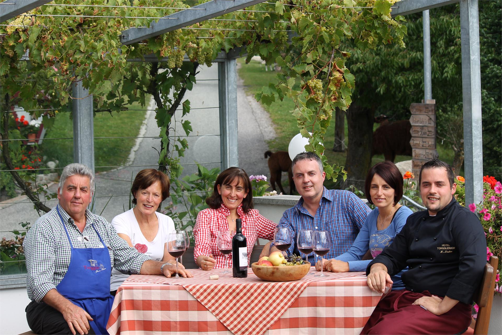 Hotel Torgglerhof Bressanone 27 suedtirol.info