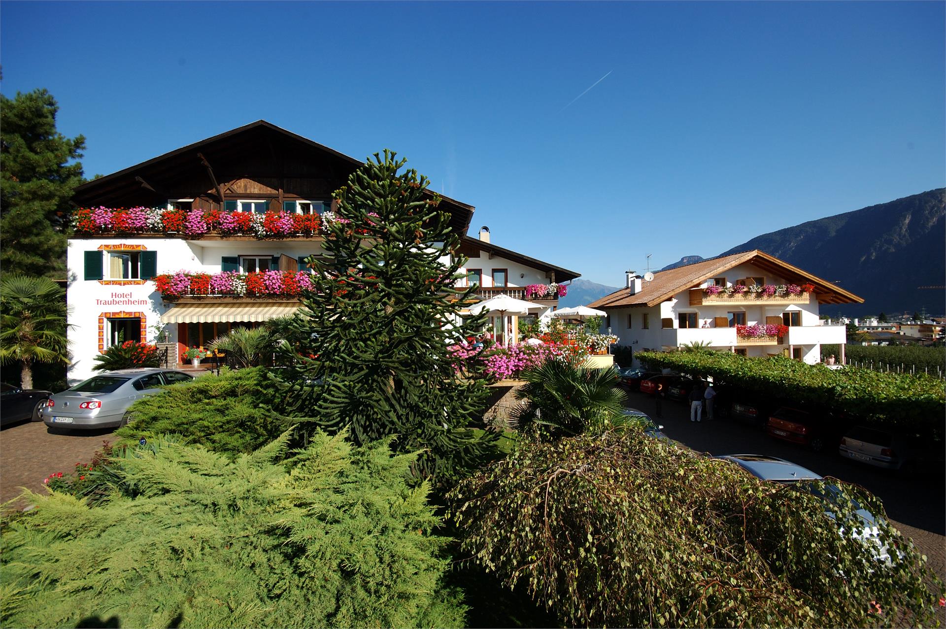 Hotel & Residence Traubenheim Nals/Nalles 3 suedtirol.info