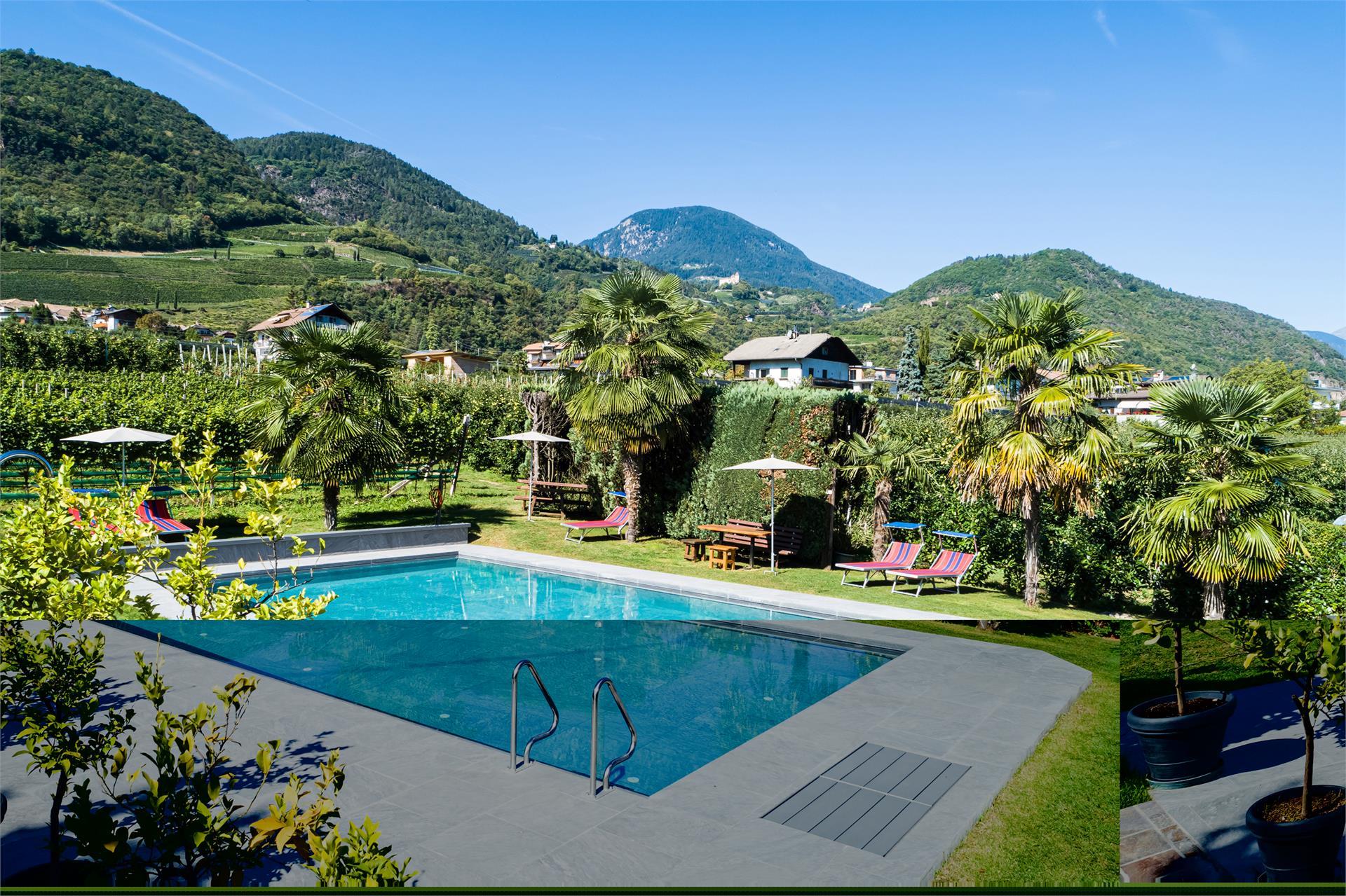 Hotel & Residence Traubenheim Nals/Nalles 1 suedtirol.info