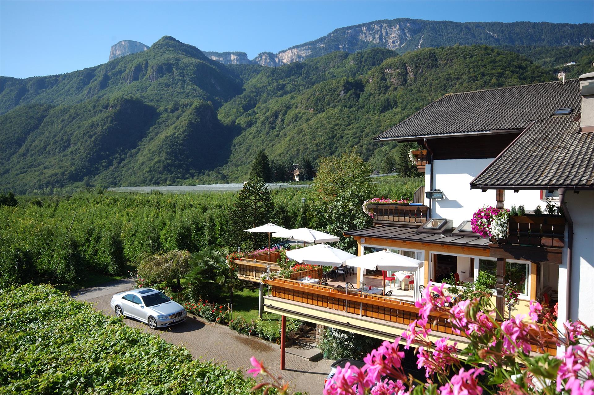 Hotel & Residence Traubenheim Nals/Nalles 8 suedtirol.info