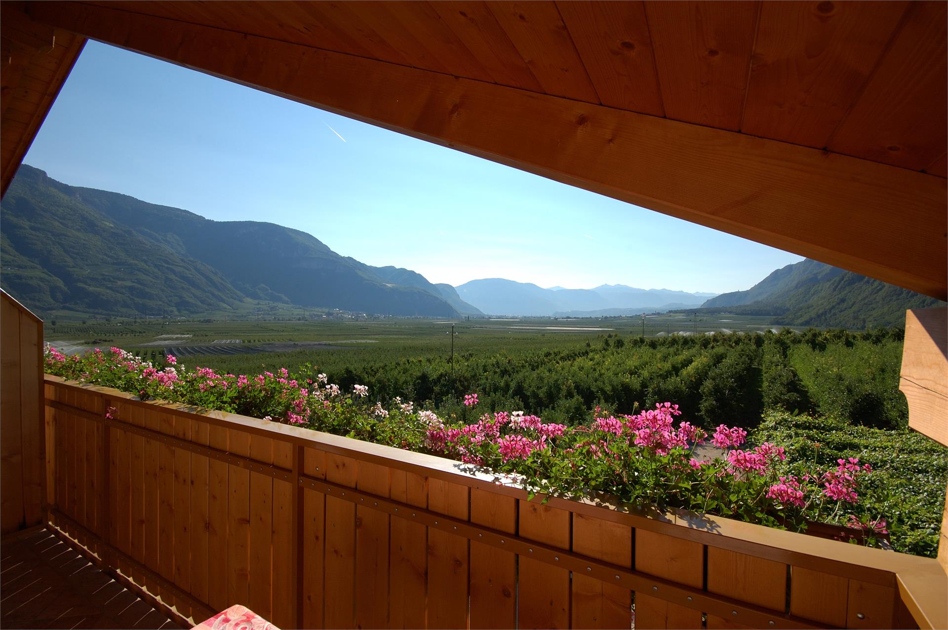 Hotel & Residence Traubenheim Nals/Nalles 14 suedtirol.info