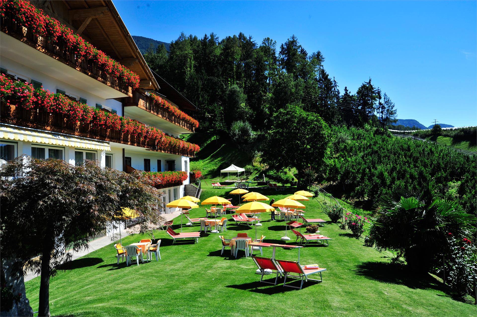 Hotel Langwies Schenna 2 suedtirol.info