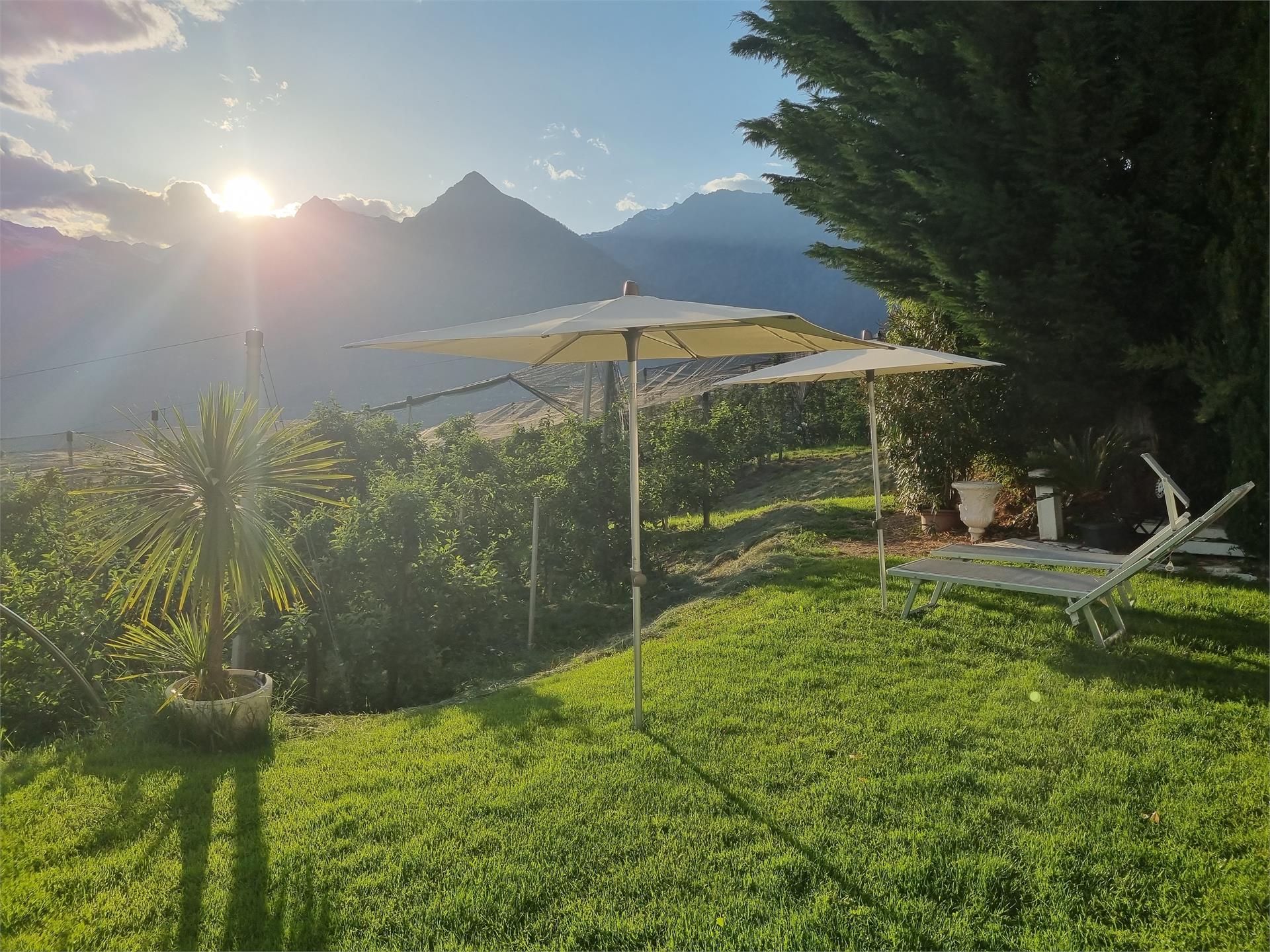 Hotel Graf Hartwig Schenna 17 suedtirol.info