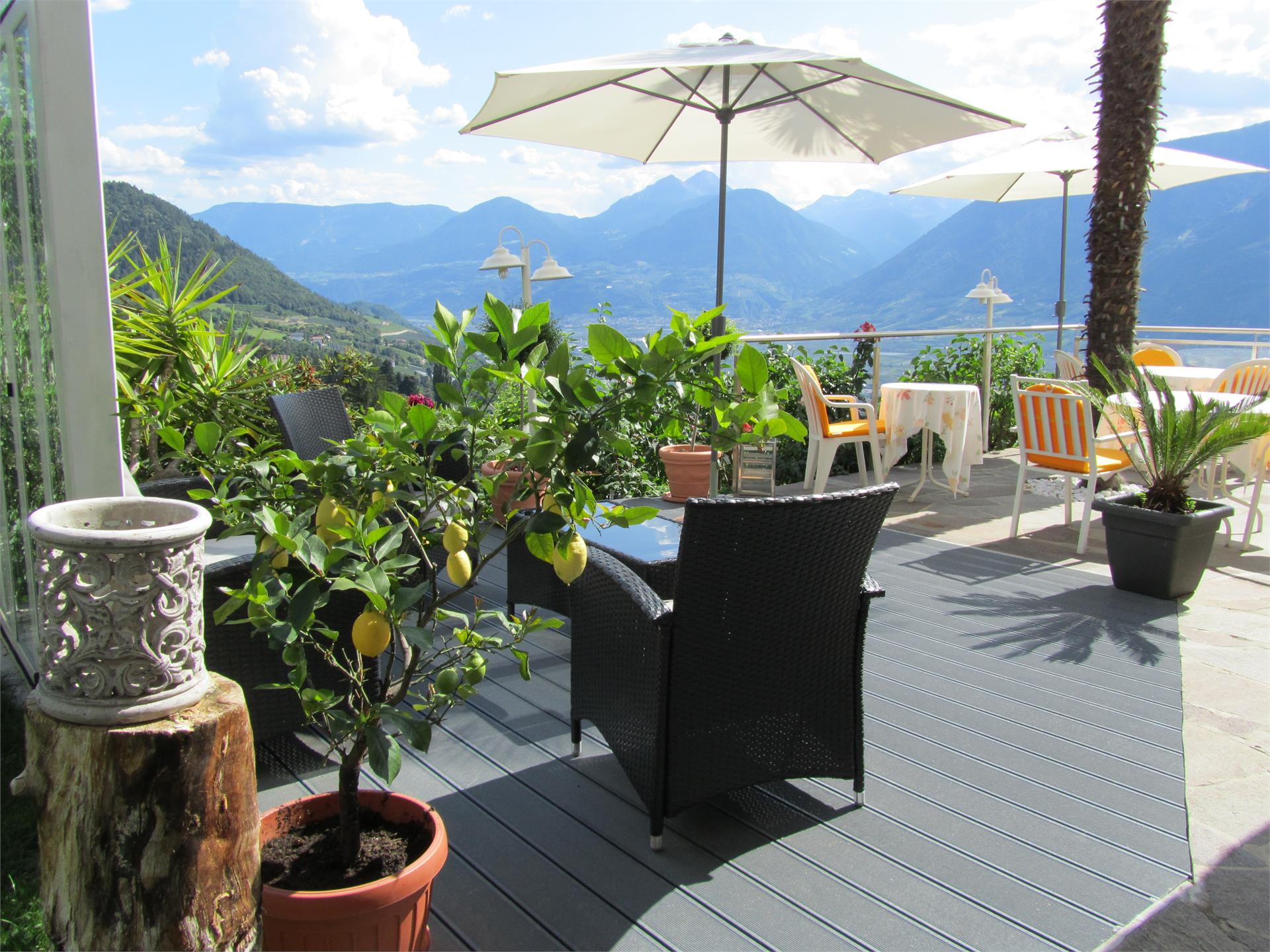 Hotel Graf Hartwig Schenna 19 suedtirol.info