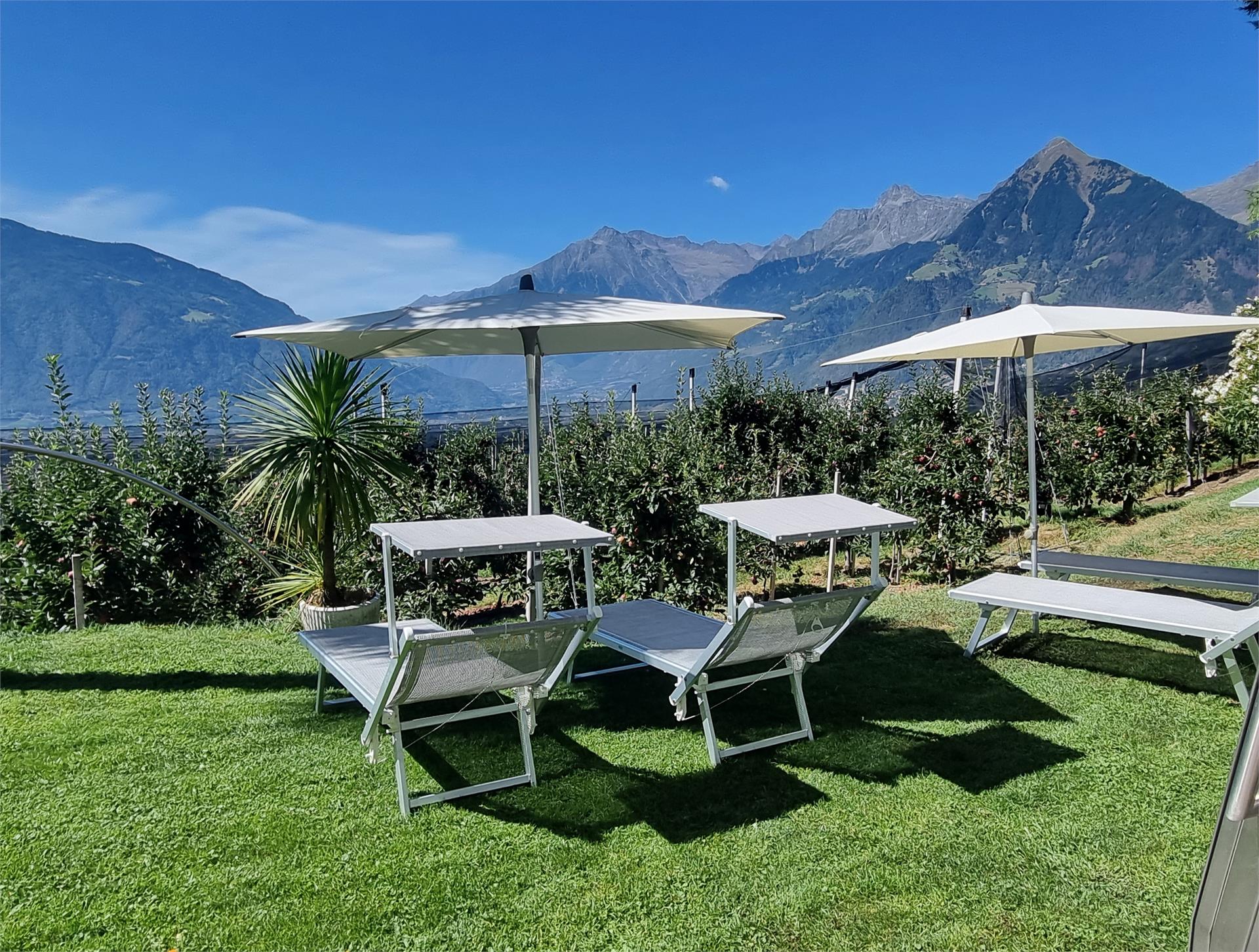 Hotel Graf Hartwig Schenna 13 suedtirol.info