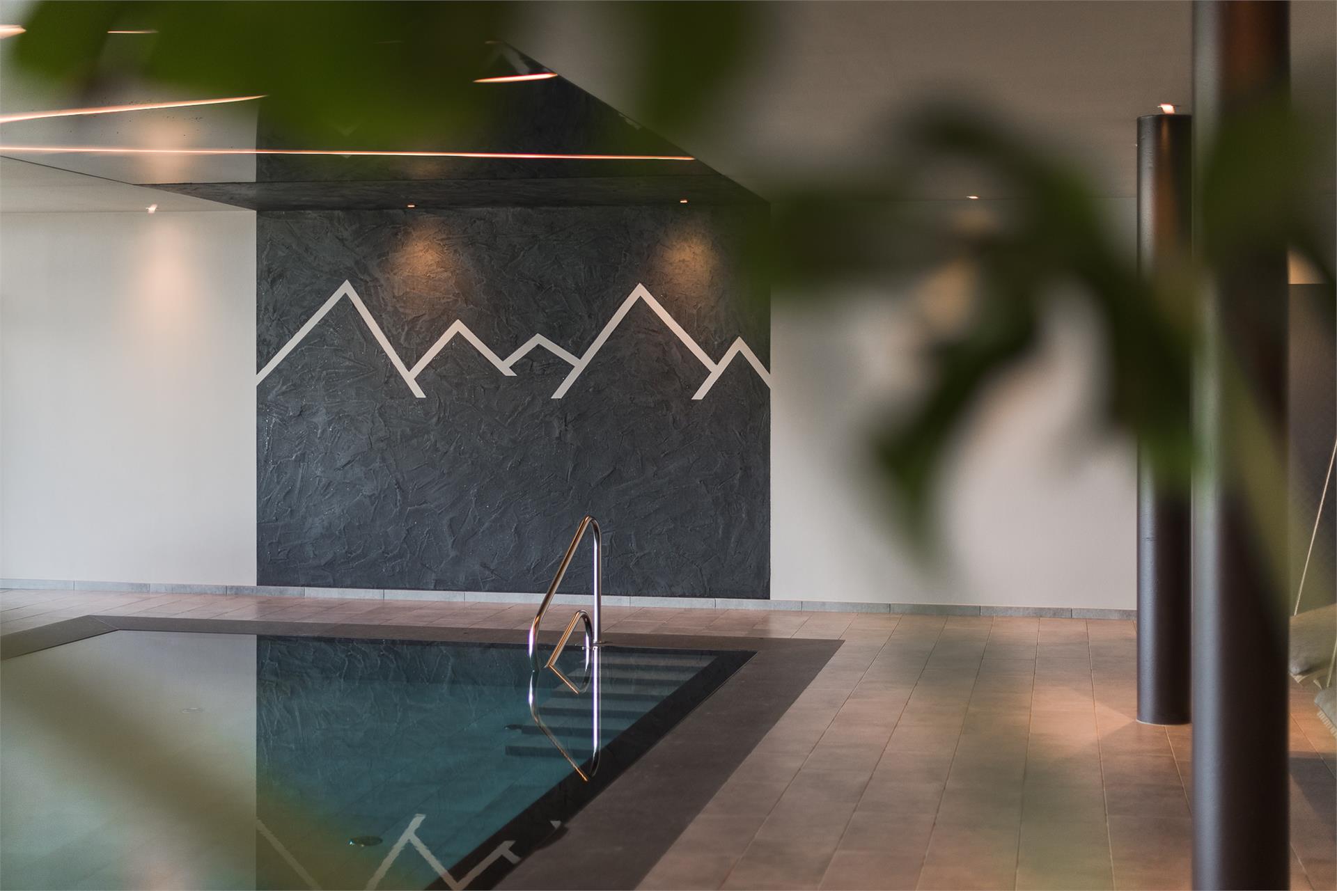 Hotel Alpin Schenna 16 suedtirol.info