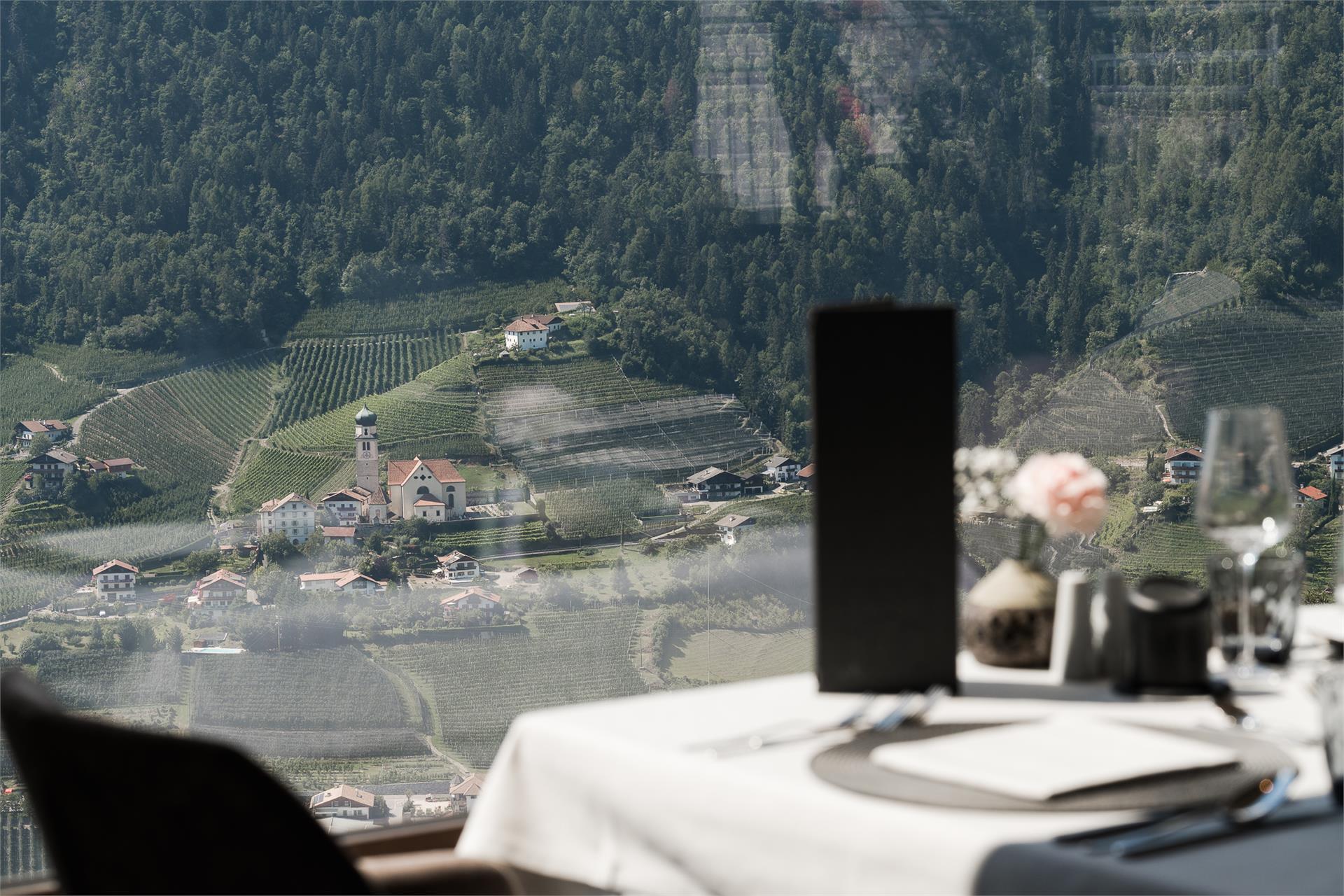 Hotel Alpin Schenna 23 suedtirol.info