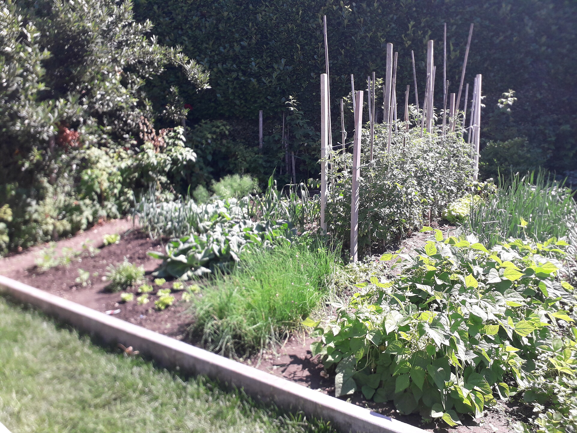 Garten
