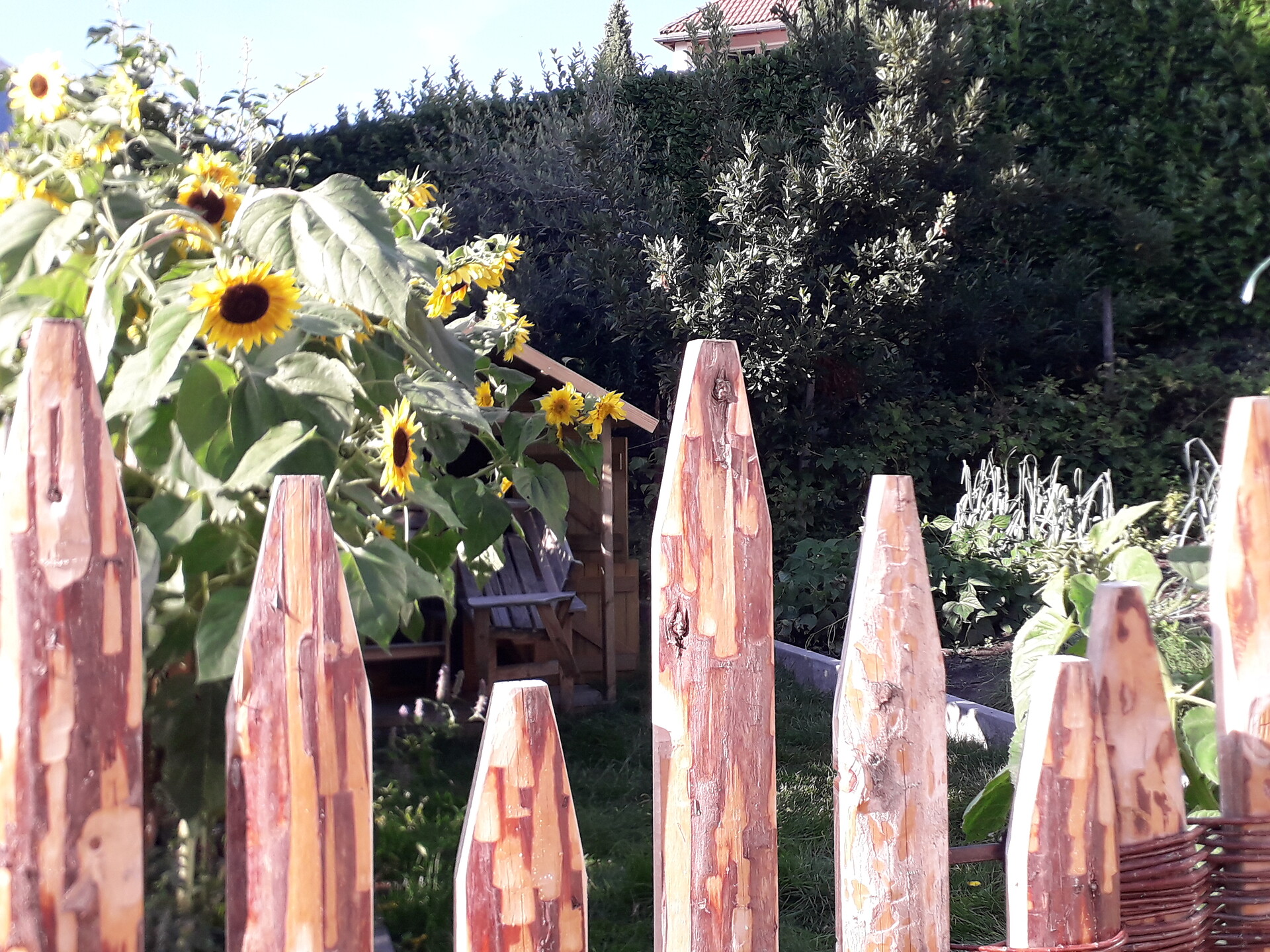 Garten