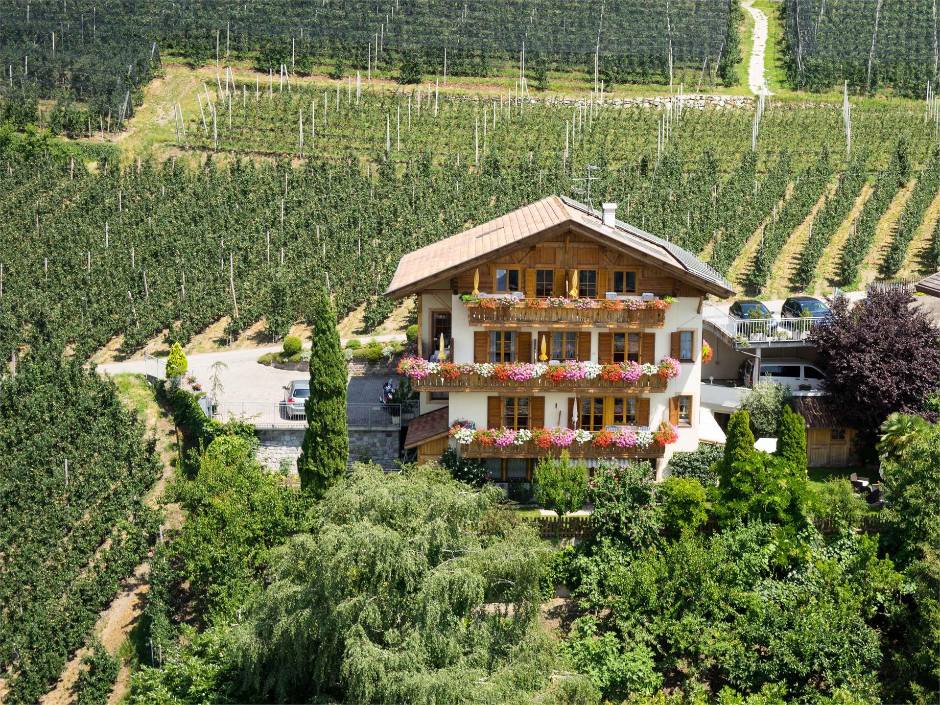 Haus Rainegg Schenna 1 suedtirol.info