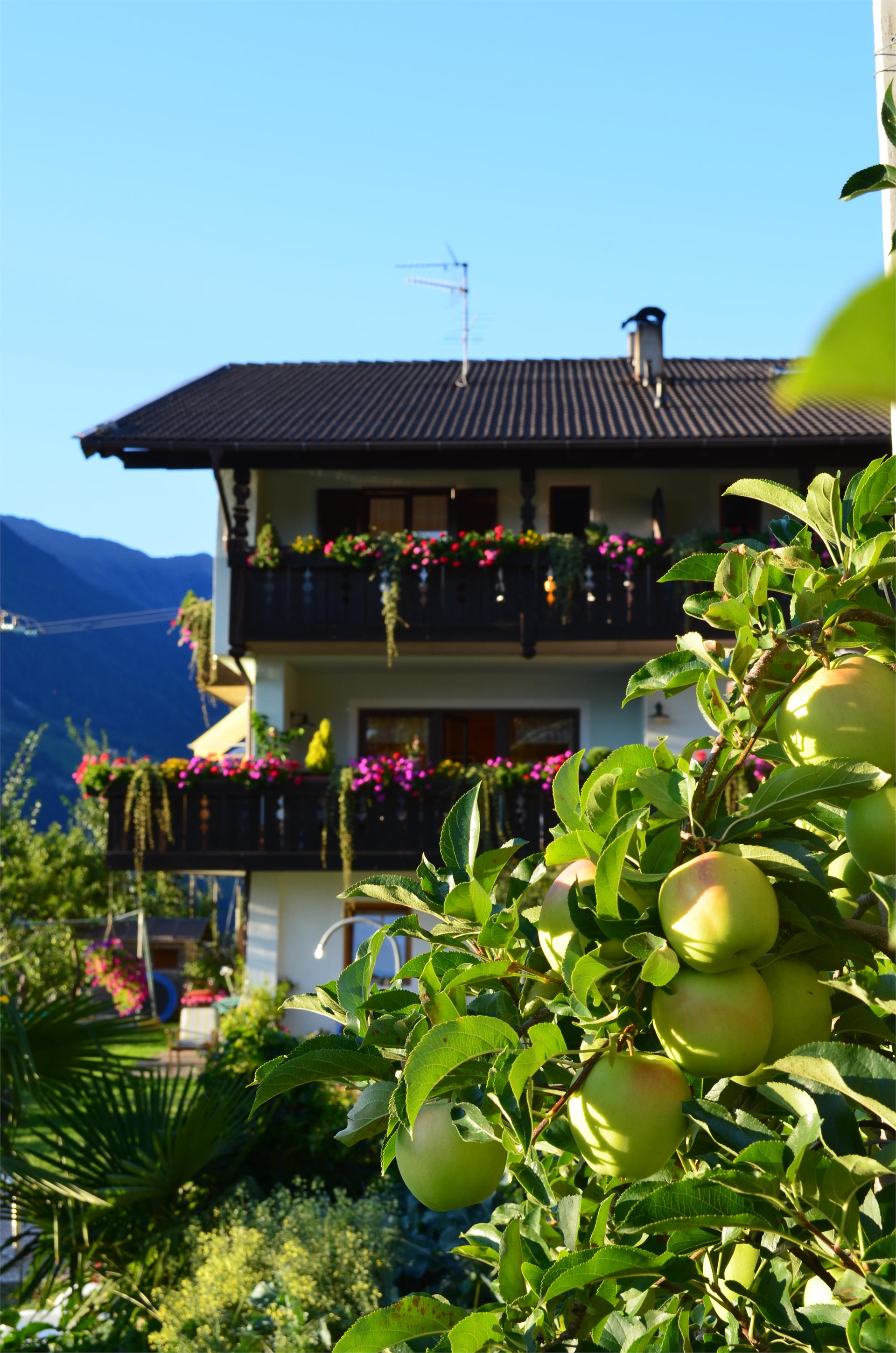 Haus Gröberhof Scena 3 suedtirol.info