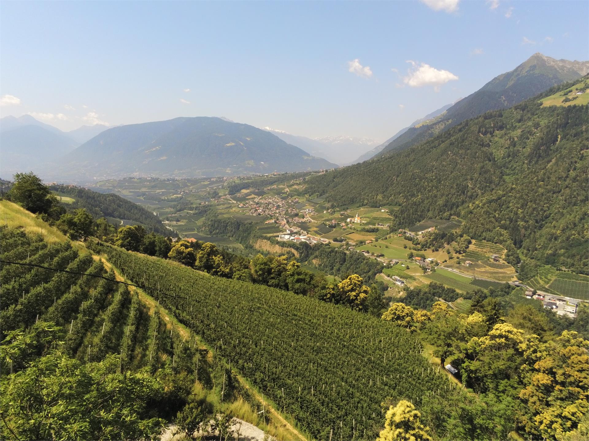 Haus Gröberhof Scena 5 suedtirol.info