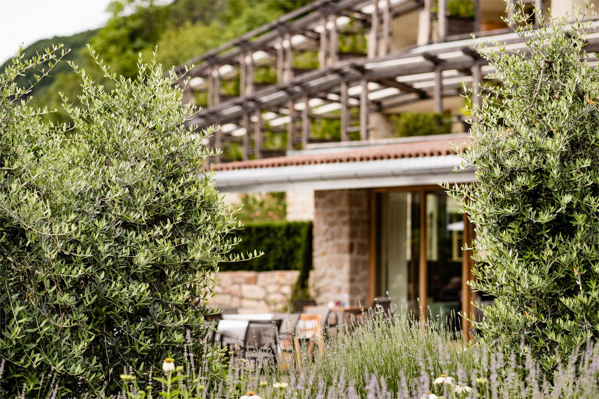 Hotel Hasslhof Kaltern an der Weinstraße/Caldaro sulla Strada del Vino 4 suedtirol.info