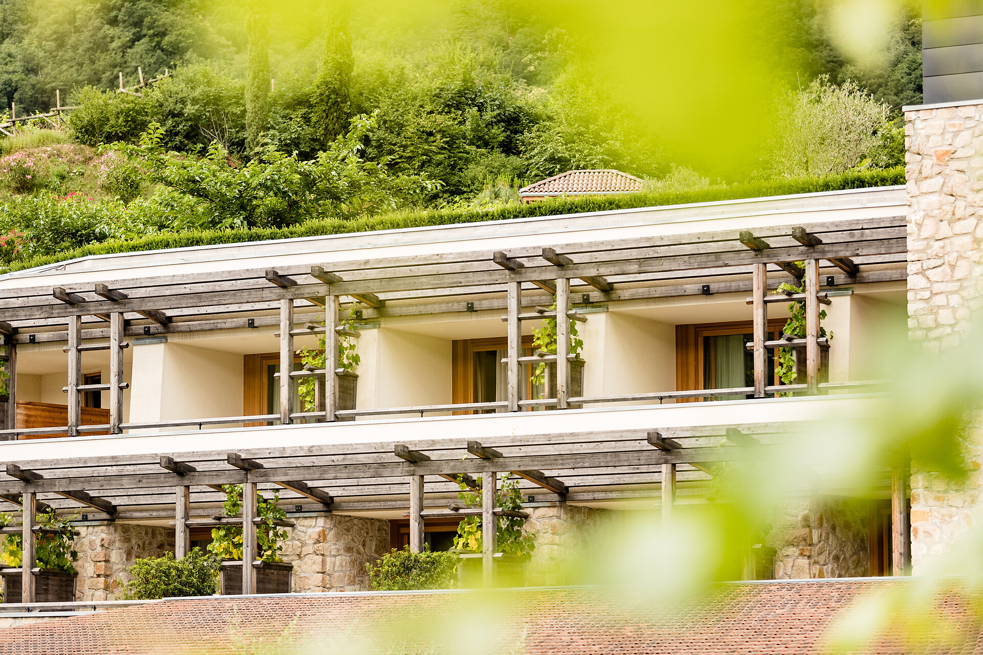 Hotel Hasslhof_Living in the vineyards_Lake Caldaro