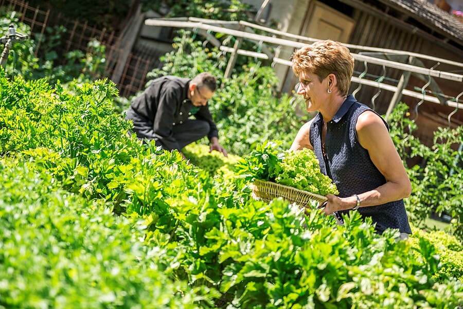 Hotel Birkenbrunn - Brixen und Umgebung - #26 - suedtirol.info