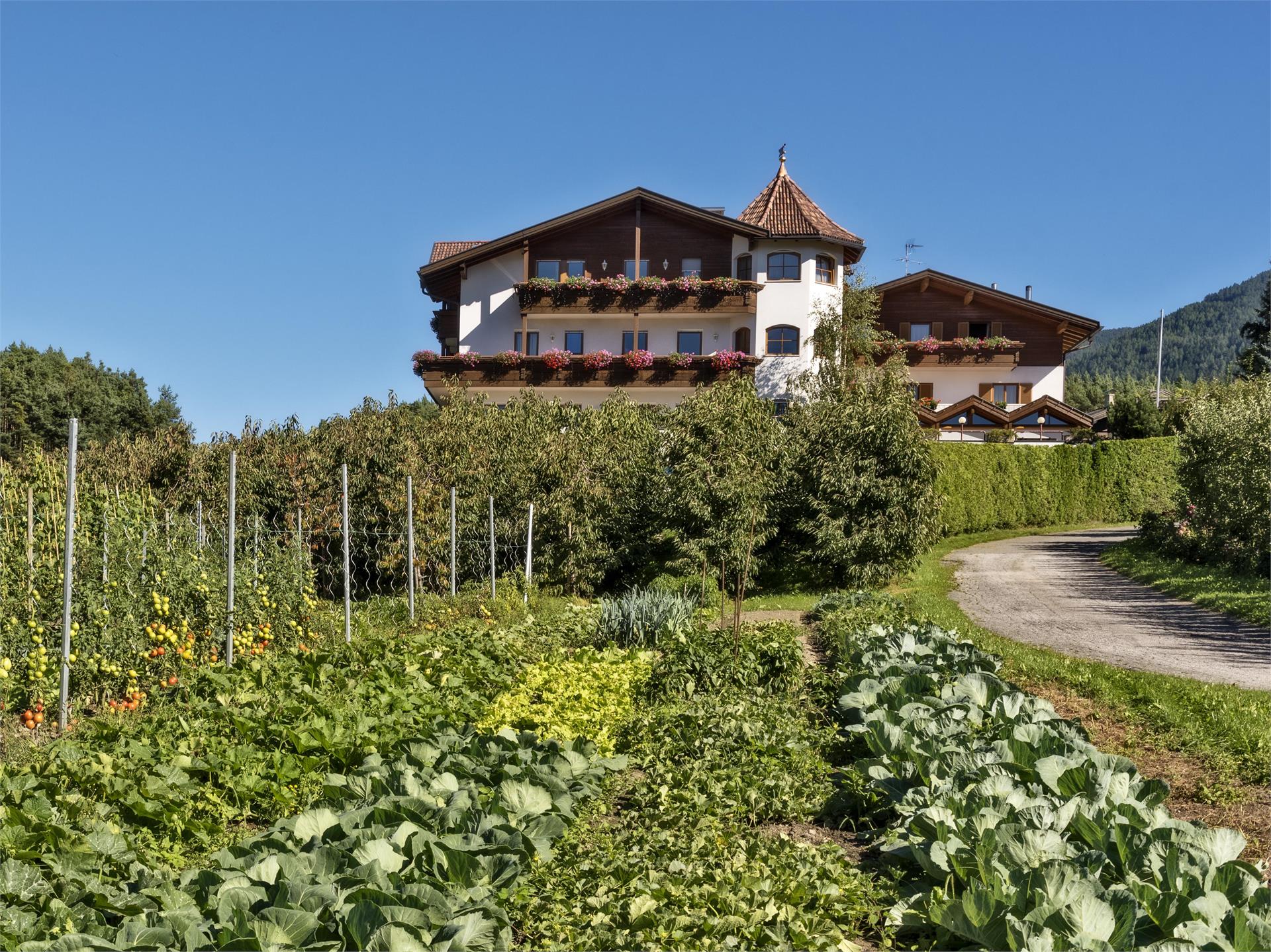 Hotel Waldesruh Natz-Schabs 1 suedtirol.info