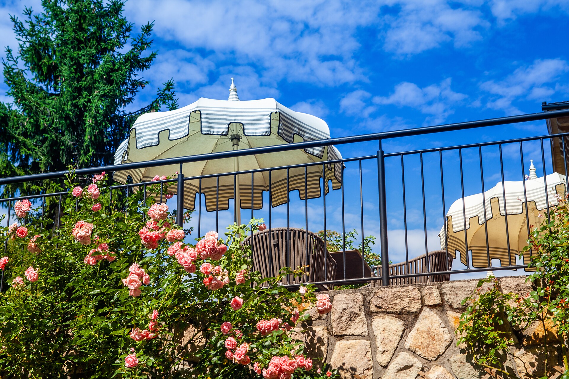 Fiori alla terrazza del Hotel Castel