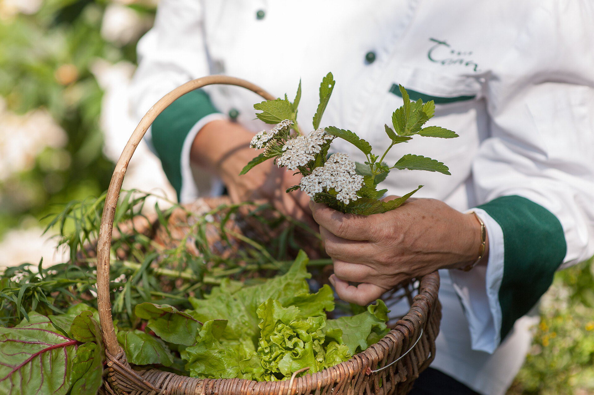 Vegetables and herbs from the Tann garden