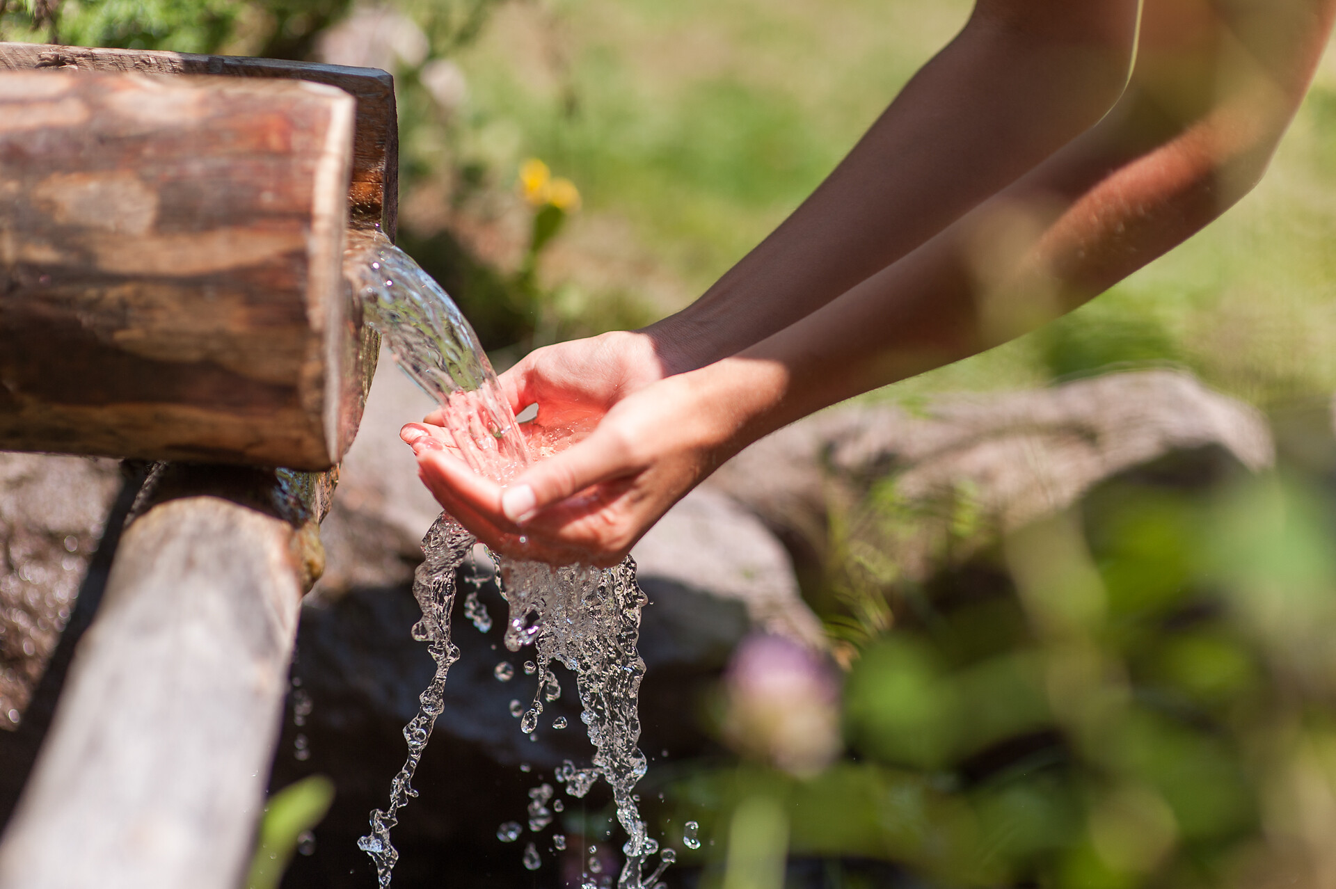 Kneipp