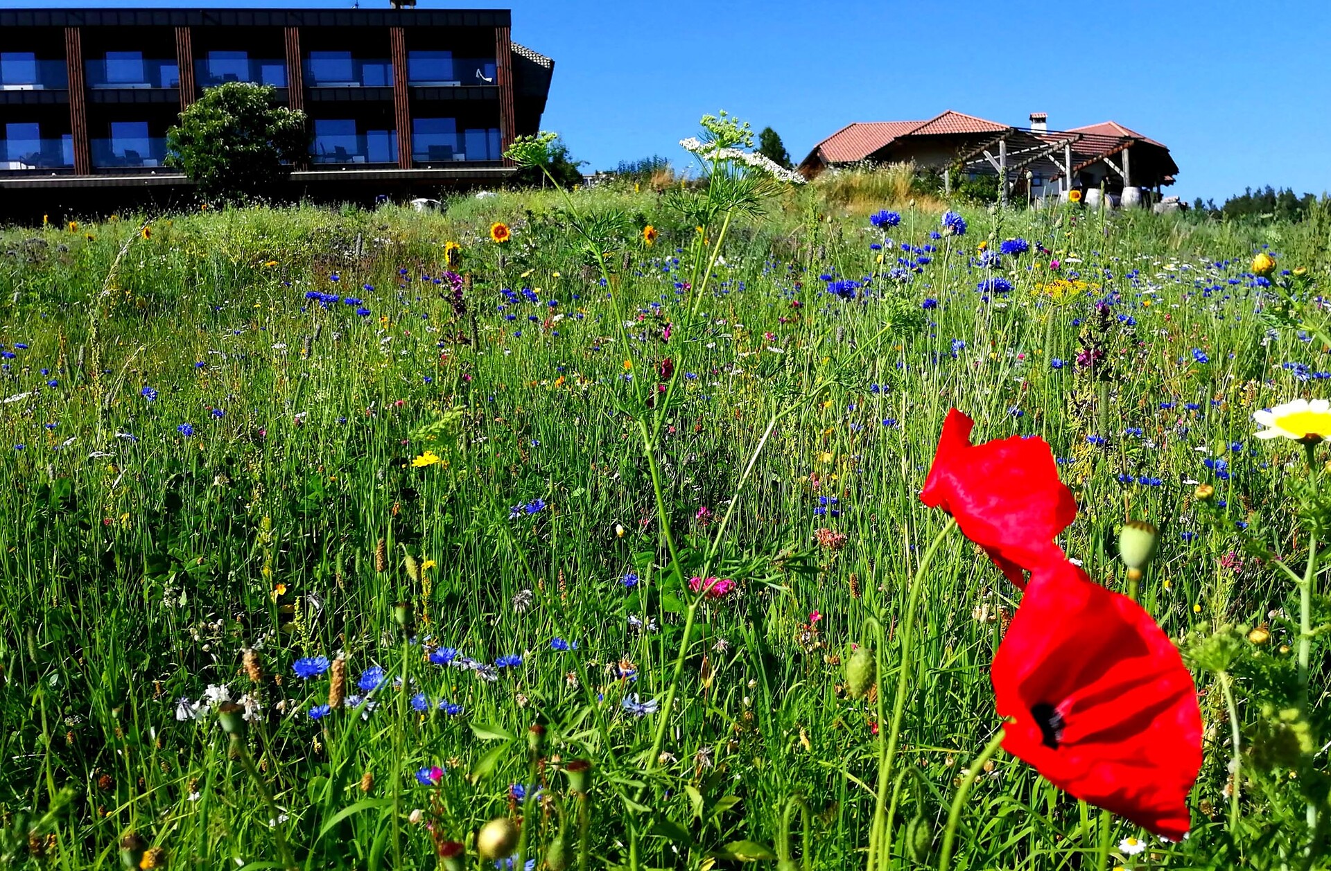Hotel Naturidylle Geyrerhof Ritten/Renon 1 suedtirol.info